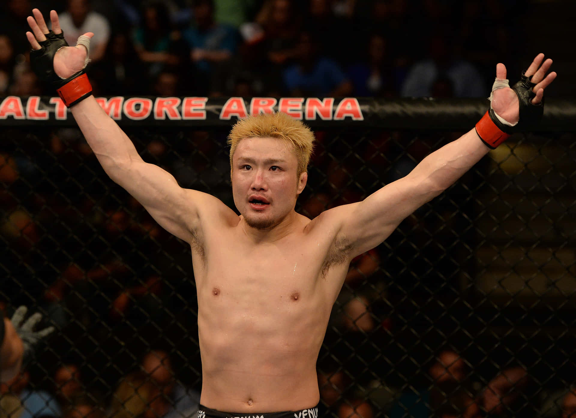 MMA拳手在籠內高舉雙臂慶祝勝利