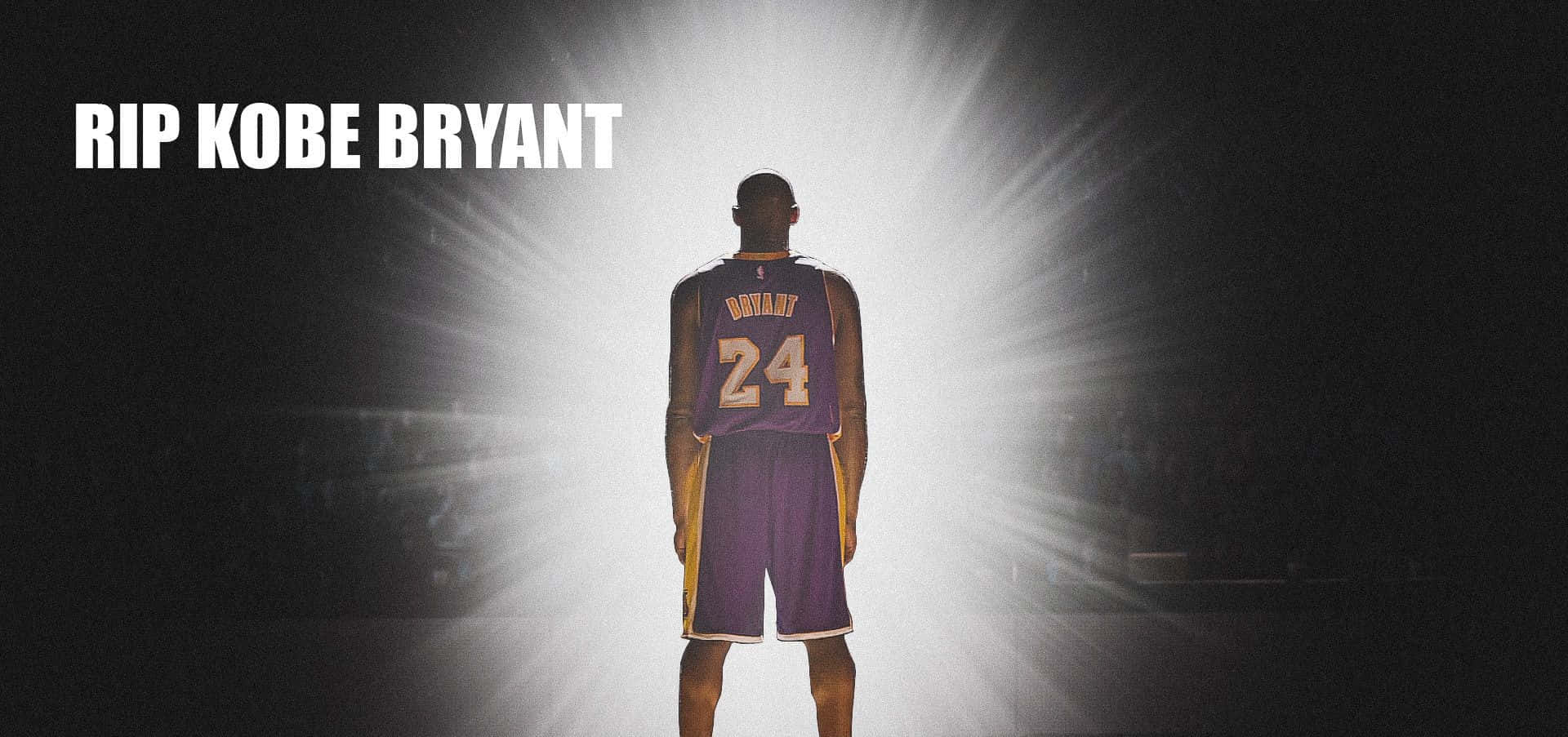 Kobe 桌布 壁紙 — 高比·拜仁穿著紫色24號球衣的剪影，在黑暗的球場中背光而立，被一盞耀眼射燈照亮。