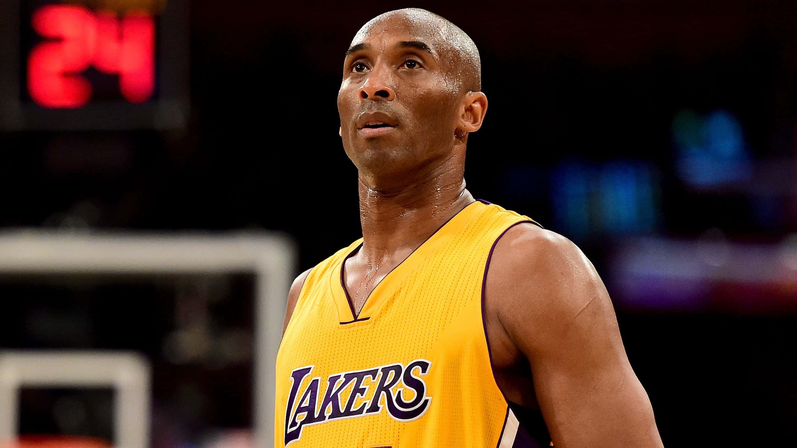 Mamba Mentality 桌布 壁紙 — 高比·拜仁身穿黃色湖人球衣，在場館燈光下於籃球比賽中向上看。