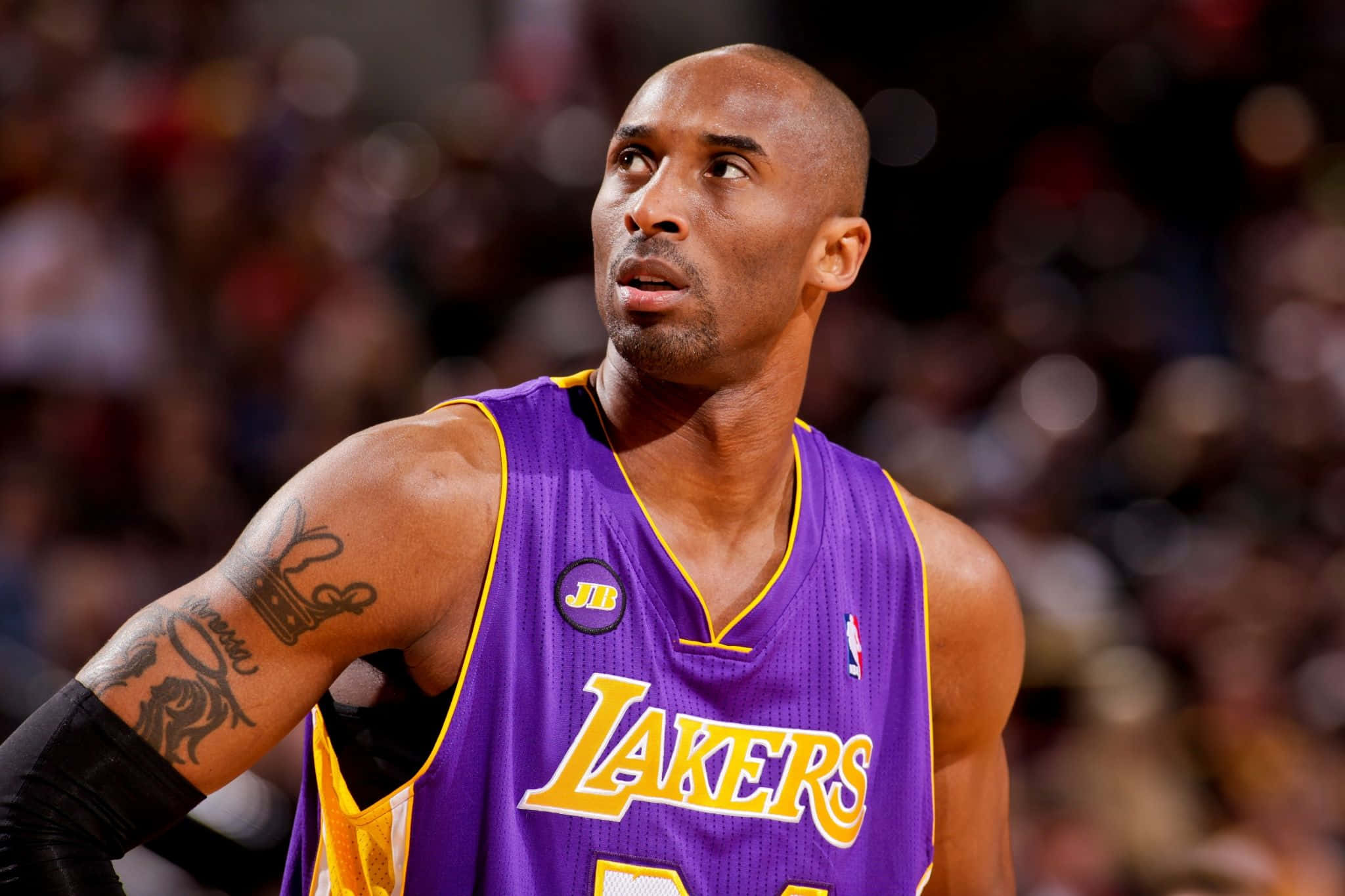 Kobe 桌布 壁紙 — 高比拜仁身穿紫色湖人球衣，在籃球比賽中專注，背後人群模糊。