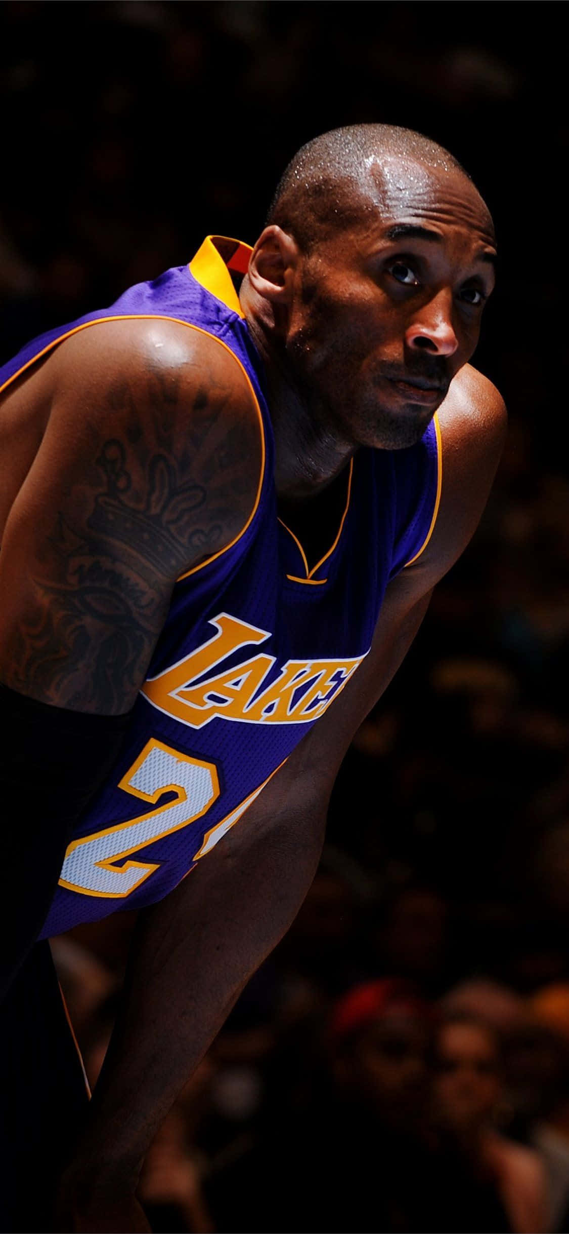Kobe 桌布 壁紙 — 高比拜仁身穿紫金色湖人球衣，在球場燈光下於籃球比賽中激烈地向前傾身。