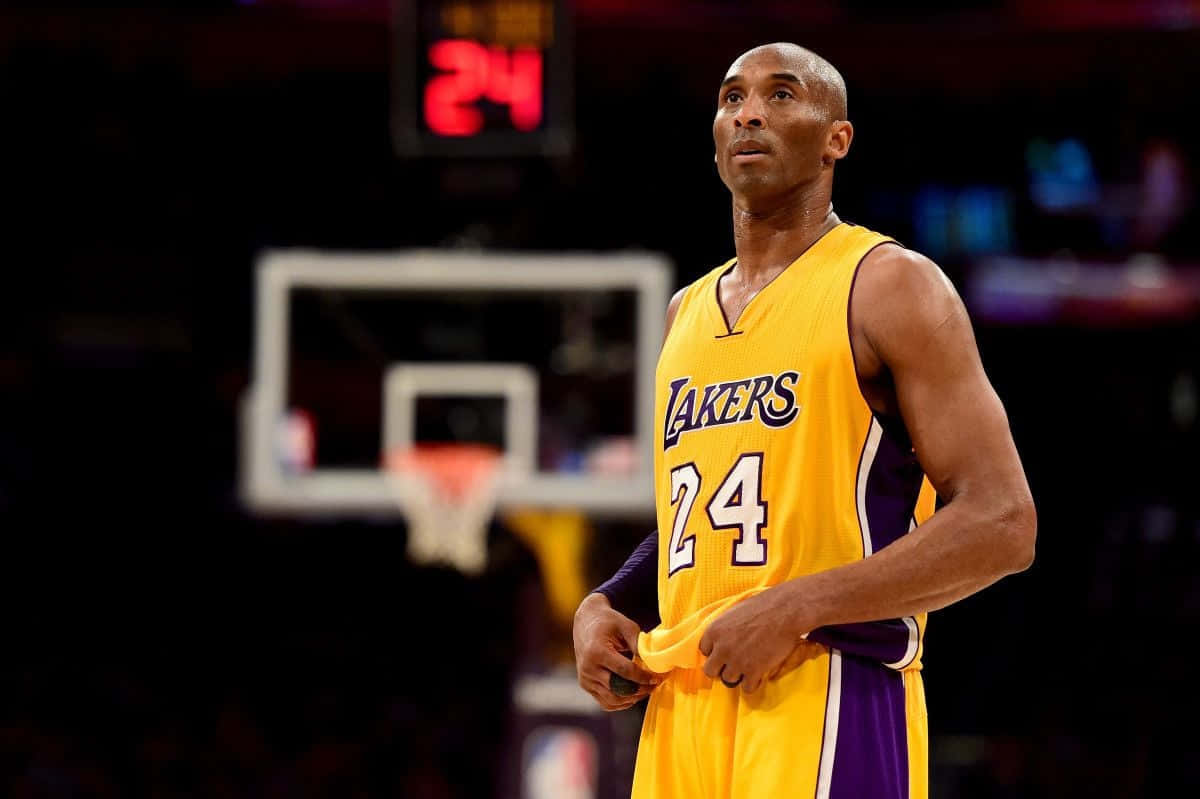 Kobe 桌布 壁紙 — 高比拜仁身穿黃色湖人隊24號球衣，在場館燈光下專注地站在球場上，身後計分板閃耀著光芒。