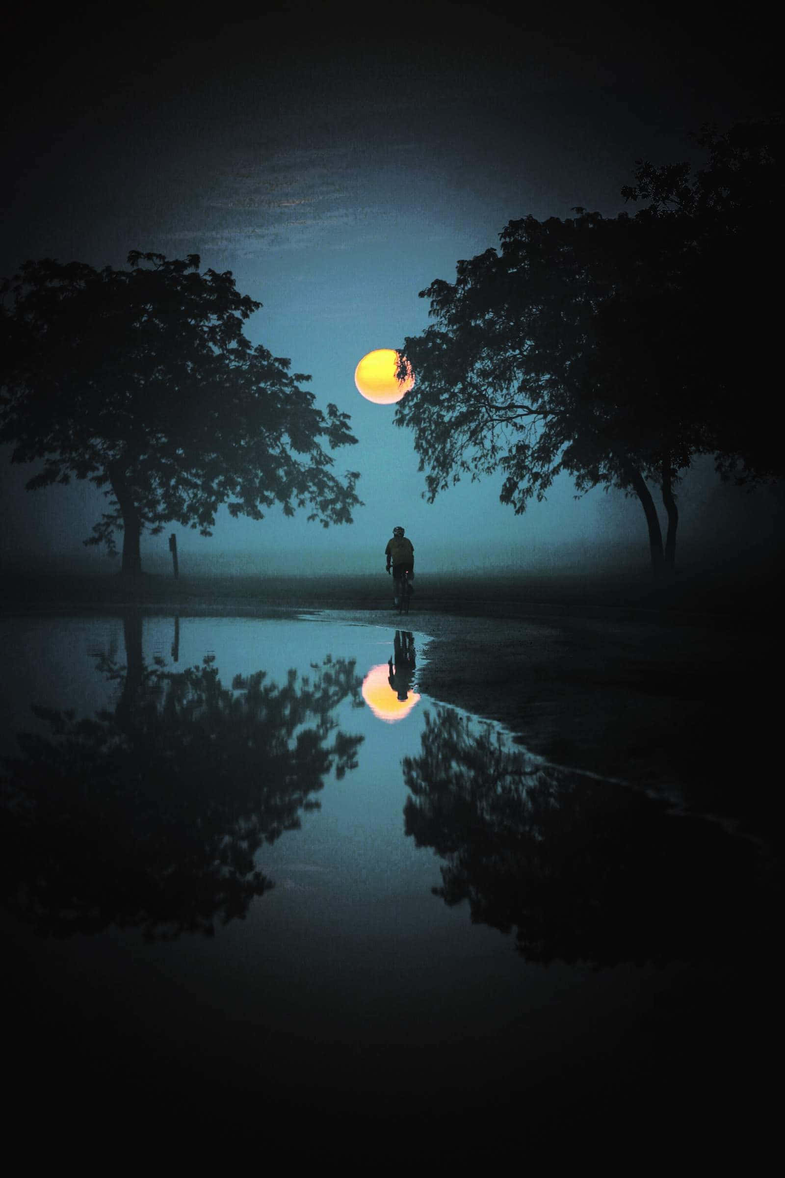 高清OLED月光倒影背景 壁紙 — 一個孤獨的身影在霧氣瀰漫的夜晚行走，腳下是一輪明亮的滿月倒映在黑暗的水坑中，兩旁是剪影般的樹木。