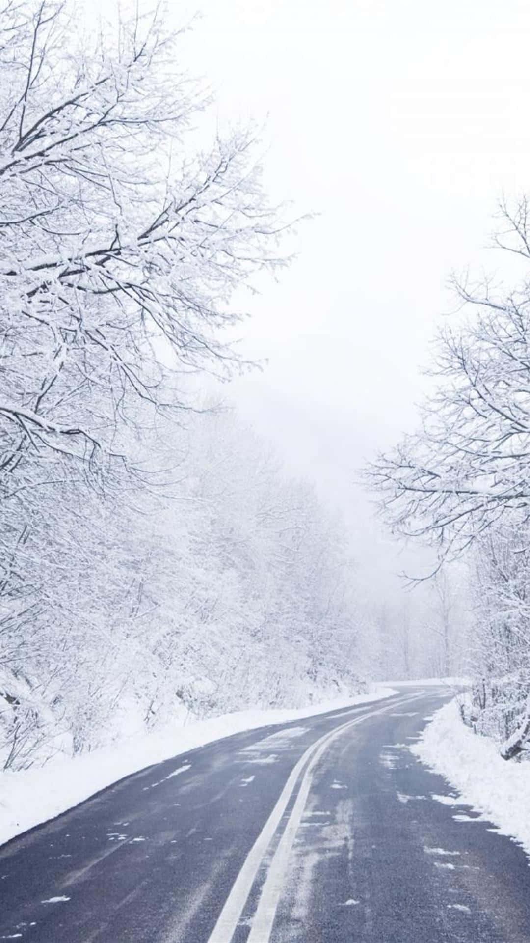 白雪覆蓋的道路蜿蜒穿過寂靜的冬季森林。