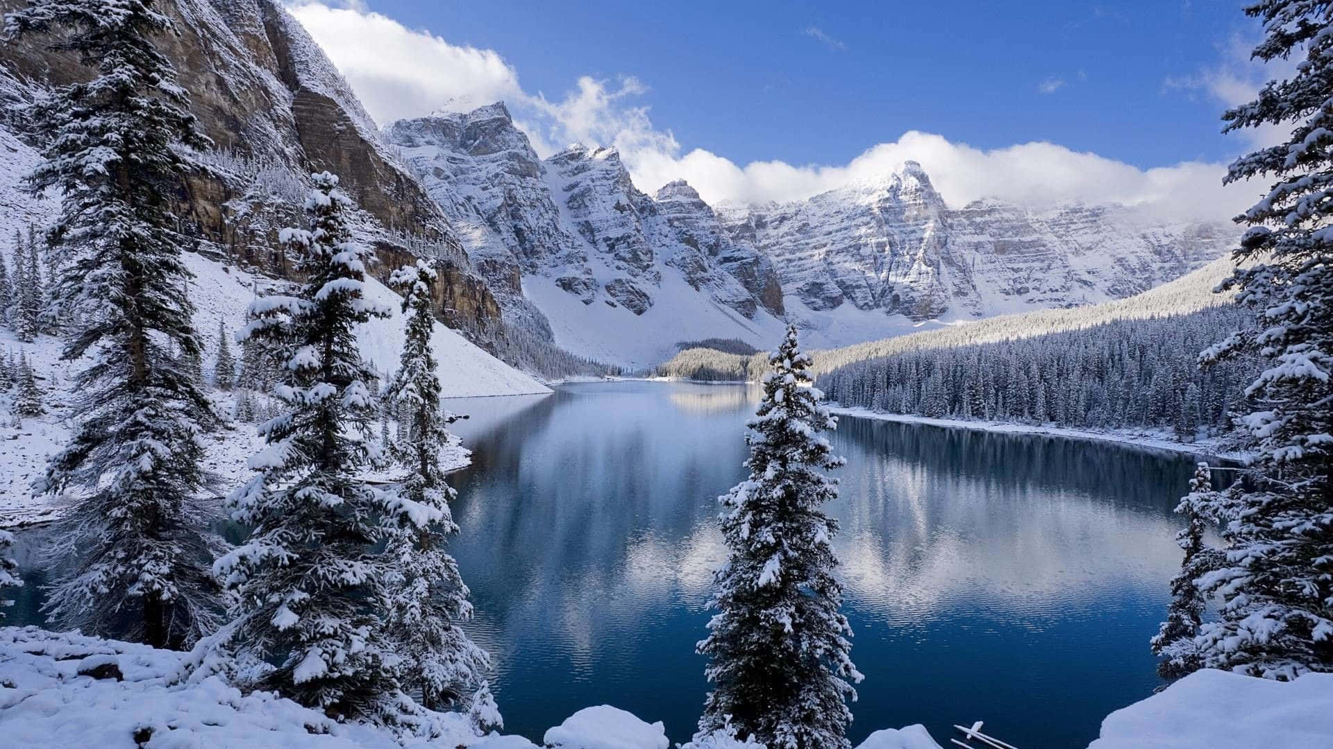 白雪覆蓋的常綠樹圍繞著平靜的綠松石湖，在藍天下反射積雪的山峰。