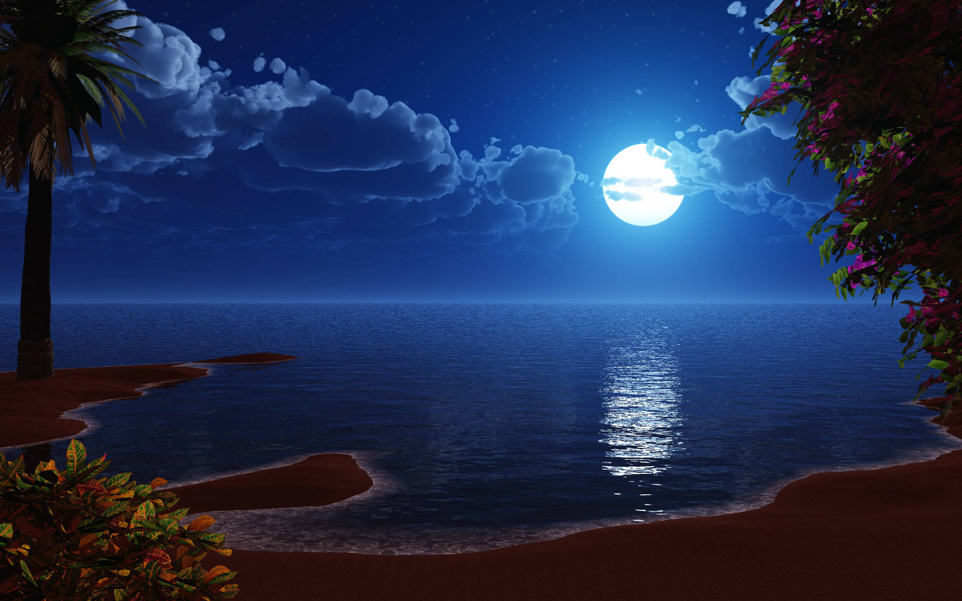 高清月映海岸水面 壁紙 — 一個寧靜的月夜海灘，滿月倒映在平靜的海面上，棕櫚樹和開花的灌木叢環繞四周。