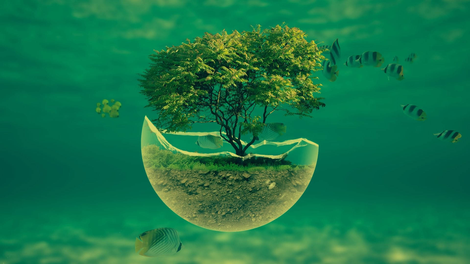 水底玻璃圓頂內的樹木，附近有魚游動。