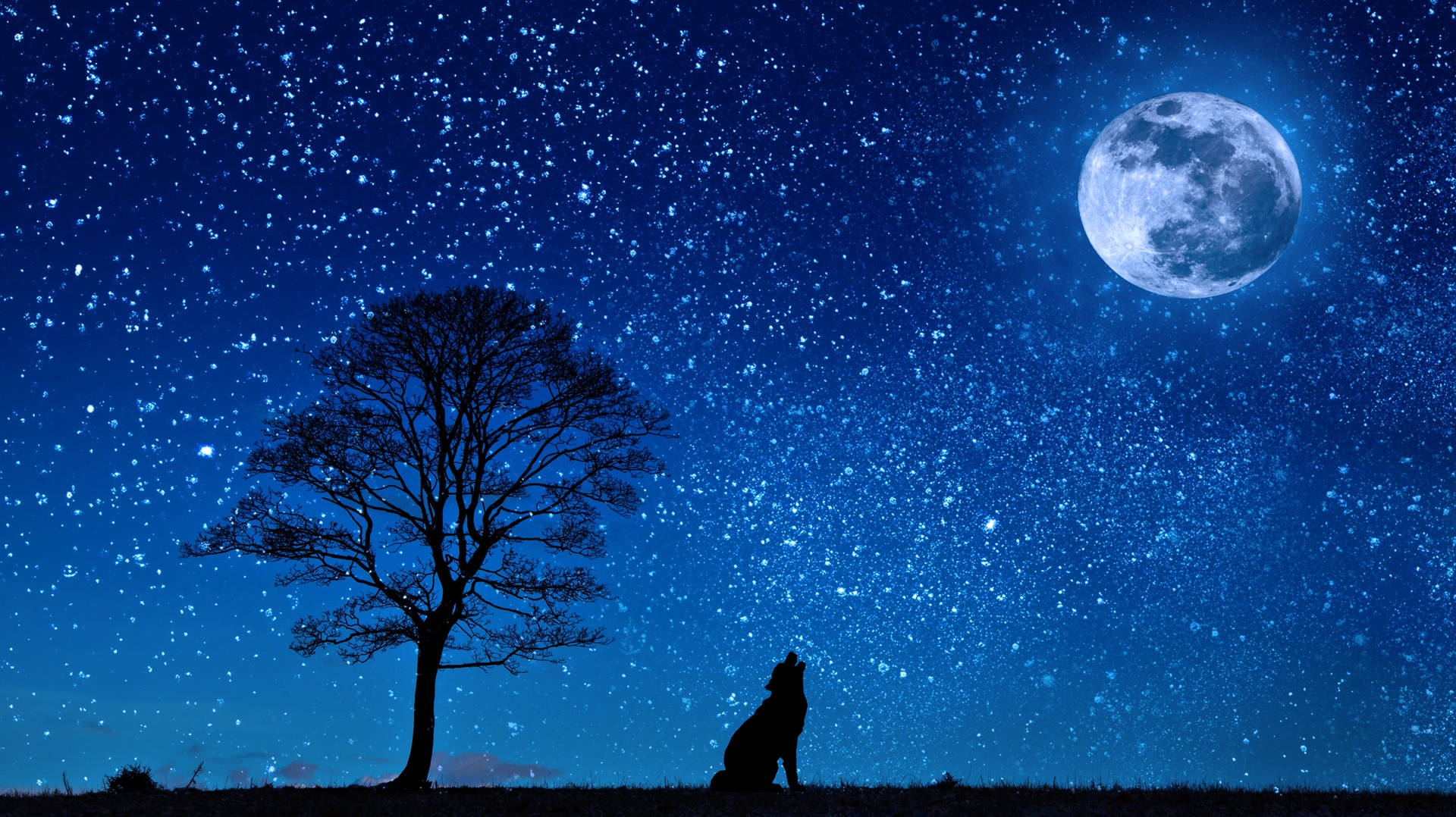 狼在星空下光禿樹旁對月嚎叫