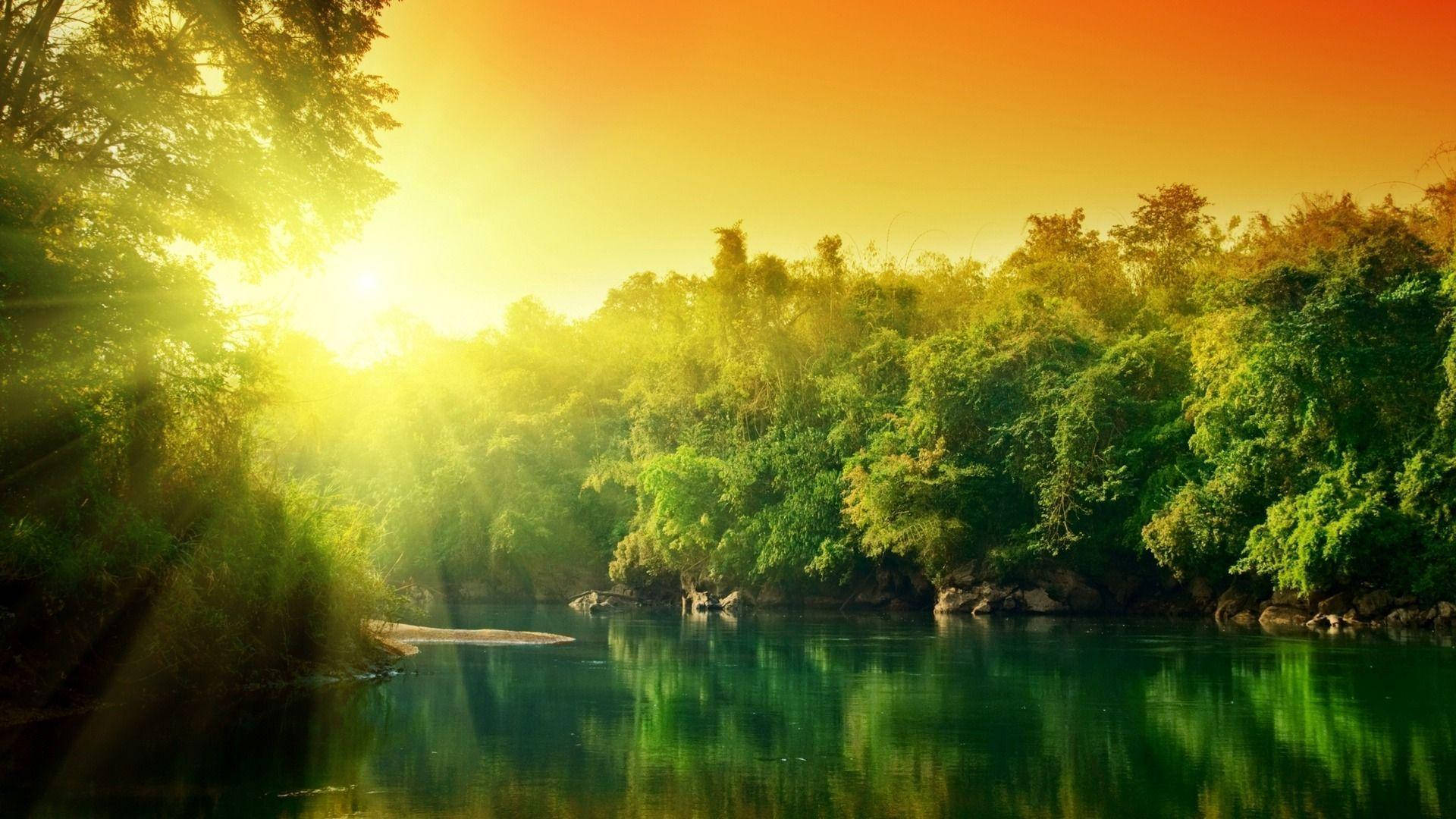 高清自然河畔樹林 壁紙 — 陽光穿過茂密的綠樹，灑在平靜的河面上，在日出時反射出火熱的橙色和金色色調。