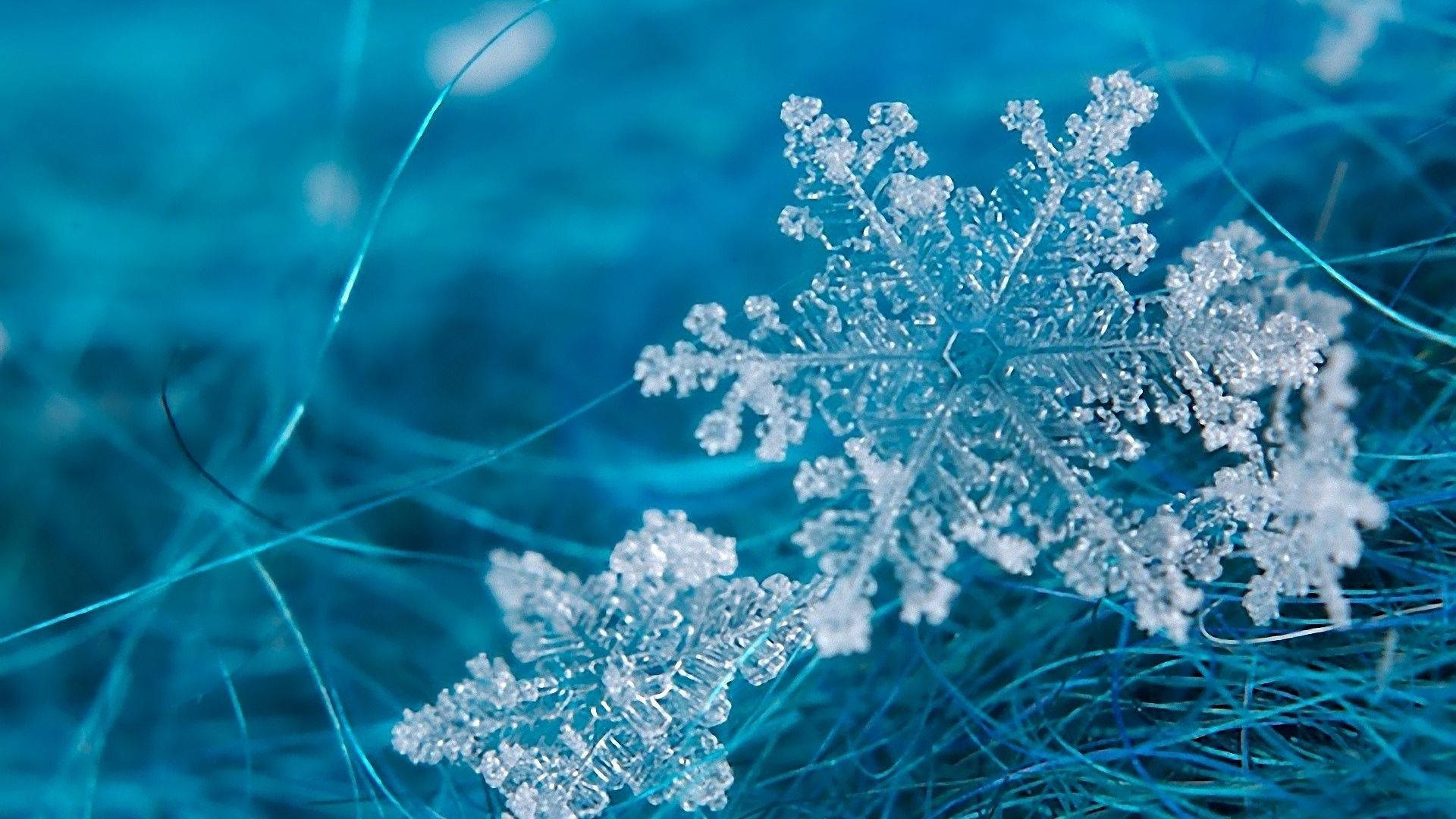 藍色纖維表面上詳細雪花的特寫
