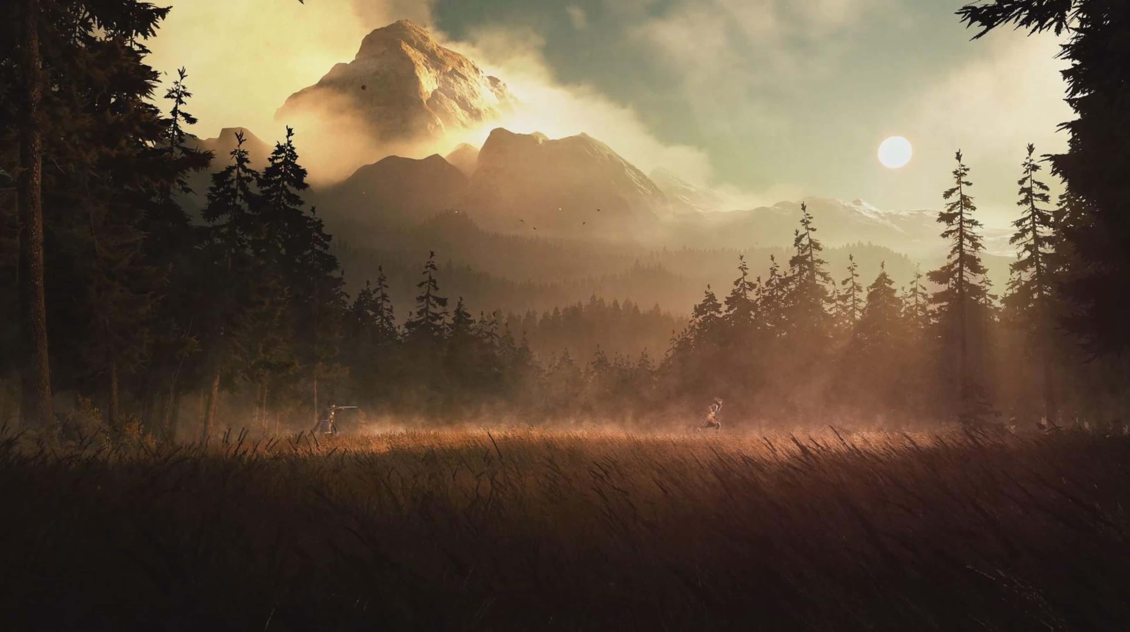 高畫質《GreedFall》背景：森林中央的開闊草地 壁紙 — 金色日出穿過霧氣瀰漫的松林，照亮遠處積雪的山峰和高高的草叢。