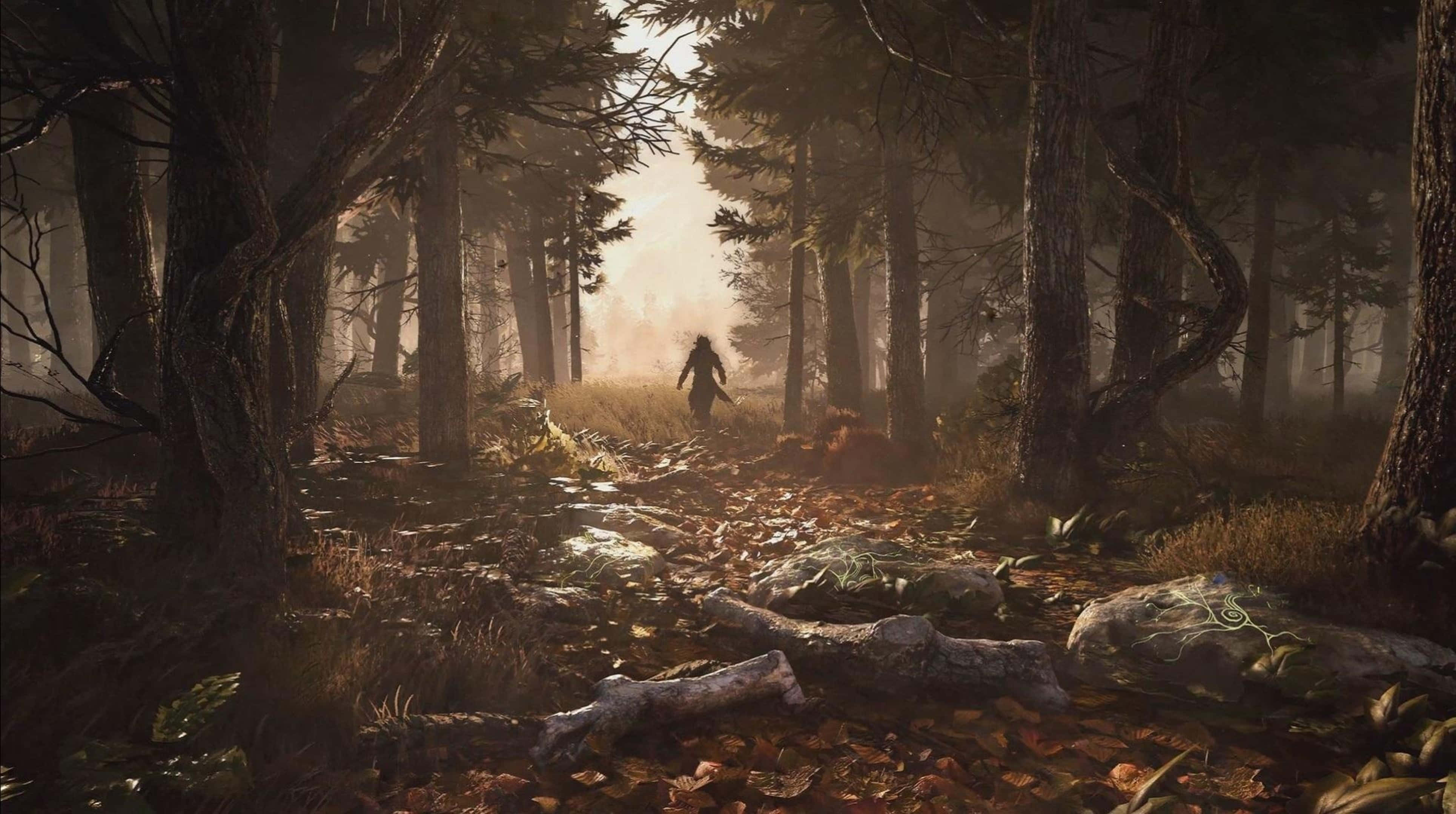 高畫質《GreedFall》背景：冒險者穿出森林 壁紙 — 一個孤獨的身影走過霧氣瀰漫的秋日森林，金色的光線穿過高聳的樹木。