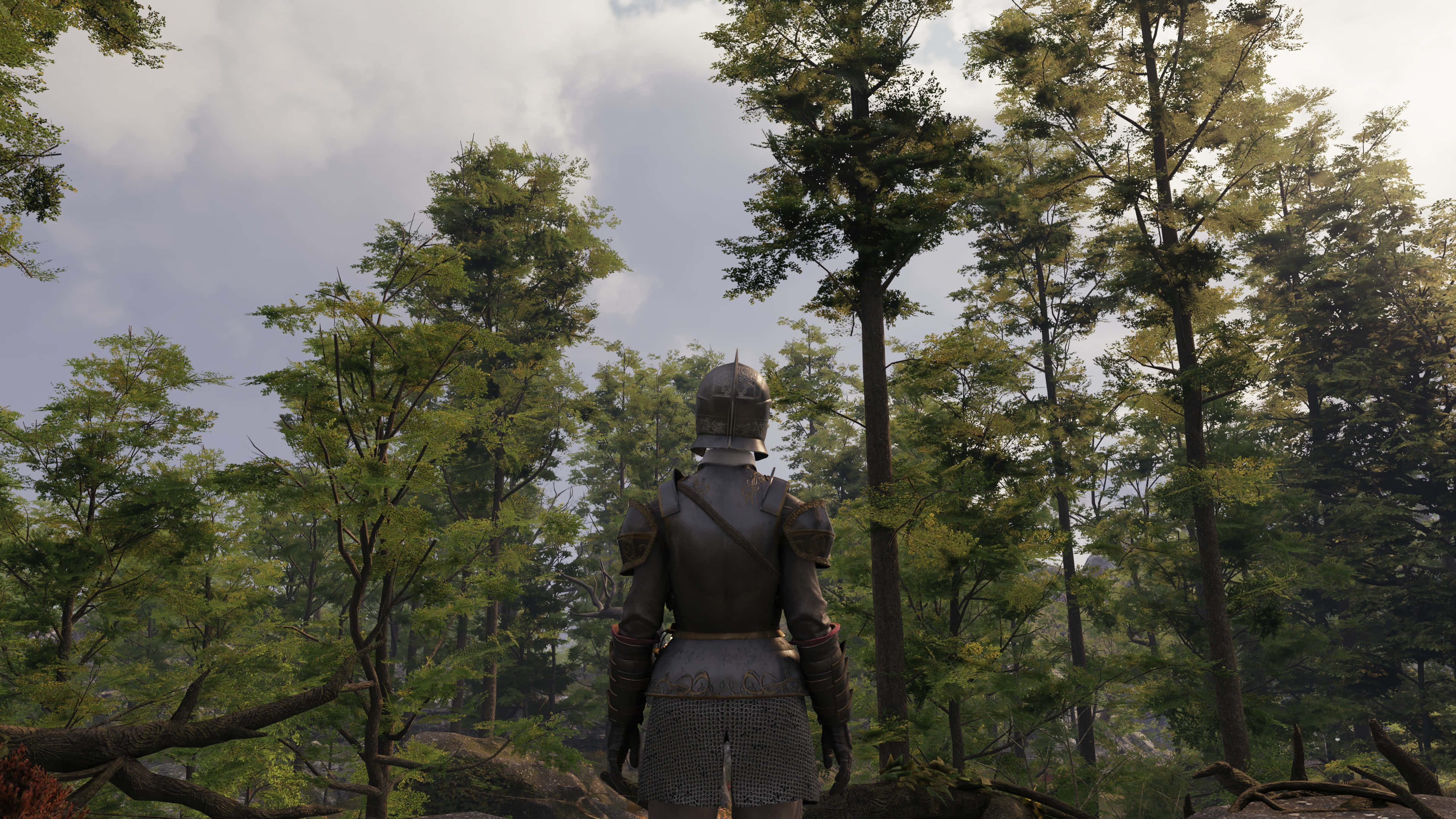 高畫質《GreedFall》背景：女冒險家面對森林 壁紙 — 一名身穿全套盔甲的騎士在陰雲密佈的天空下，背光站在茂密的綠色森林中。