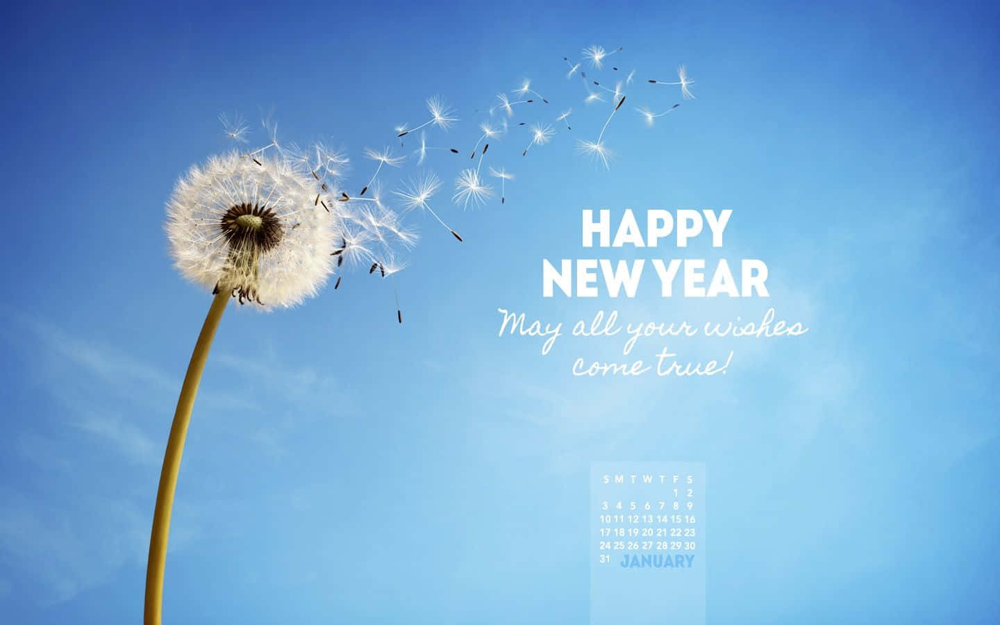 蒲公英釋放種子，帶有「新年快樂」文字和一月日曆，背景為藍天。