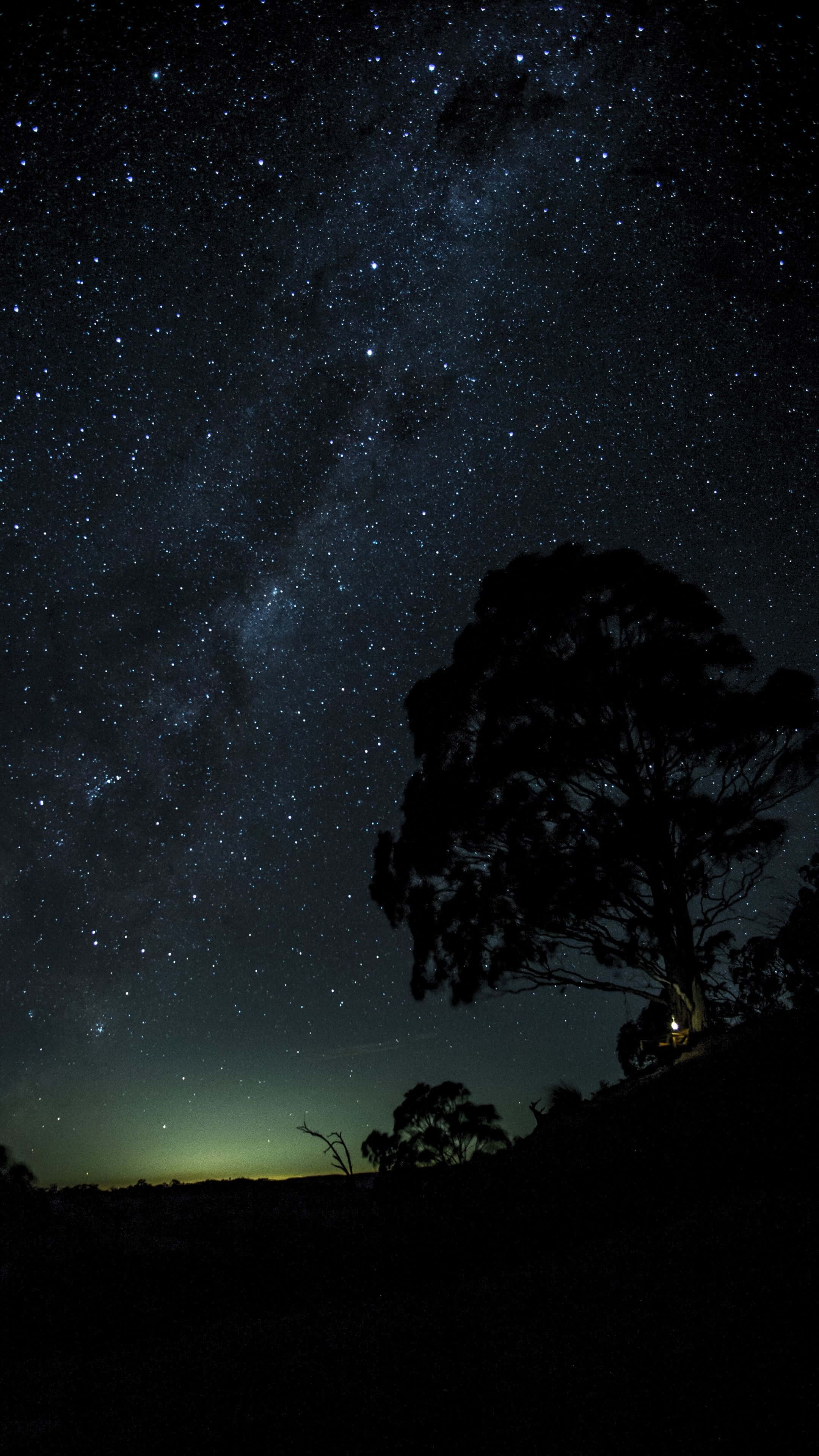 高畫質OLED樹影星空背景 壁紙 — 一棵孤獨的樹的剪影矗立在令人嘆為觀止的星空下，星空充滿了銀河和微弱的極光。