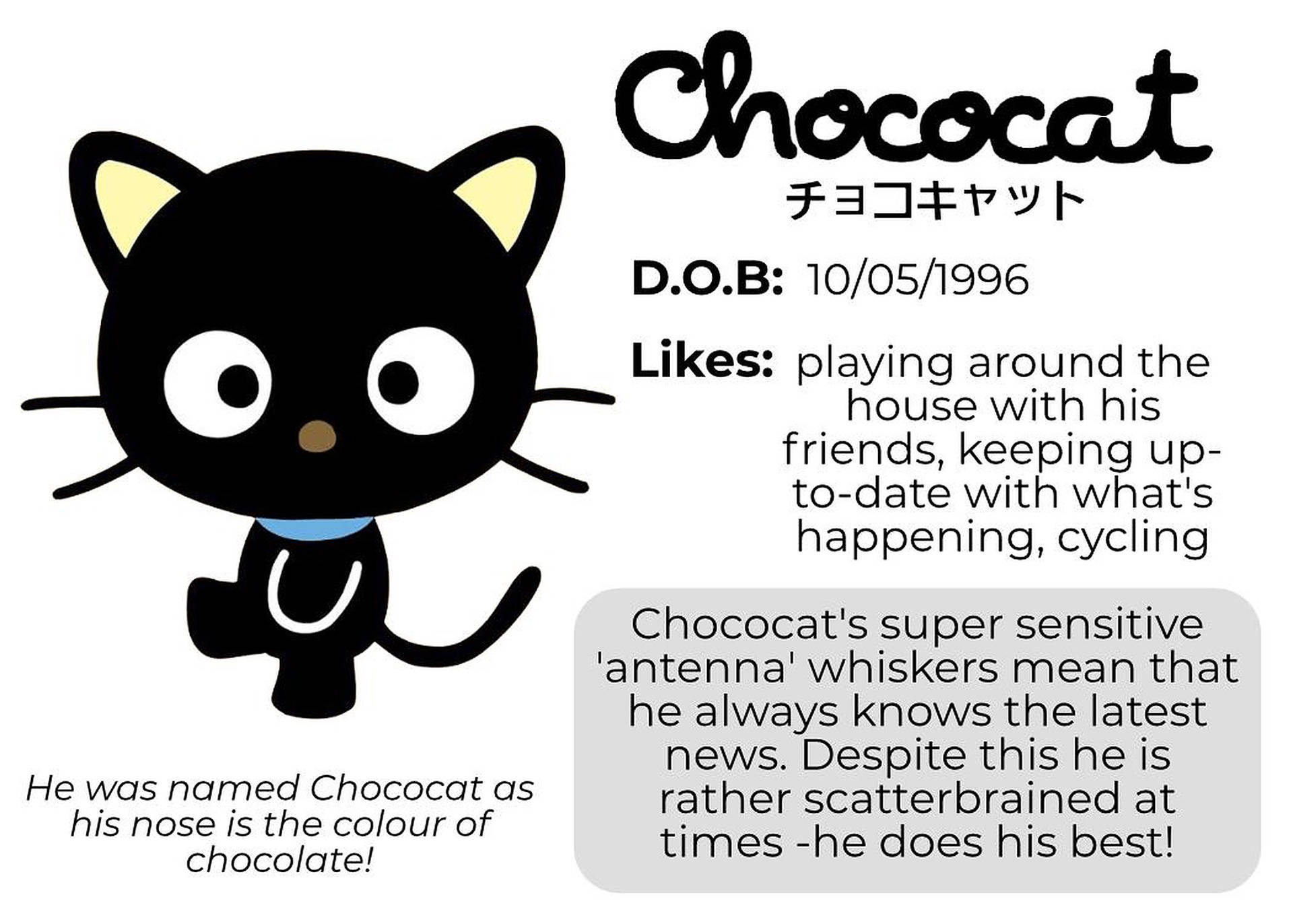 黑色卡通貓咪，黃色耳朵和藍色項圈，名為 Chococat，附有描述性文字。
