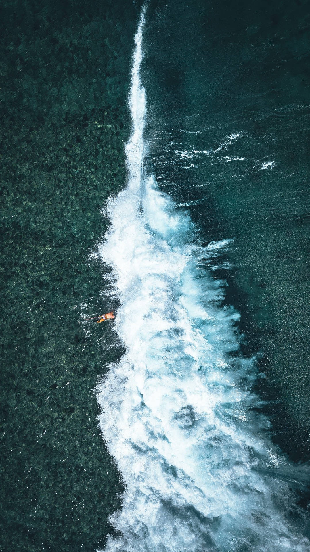 衝浪者從上方在破碎的波浪上滑行