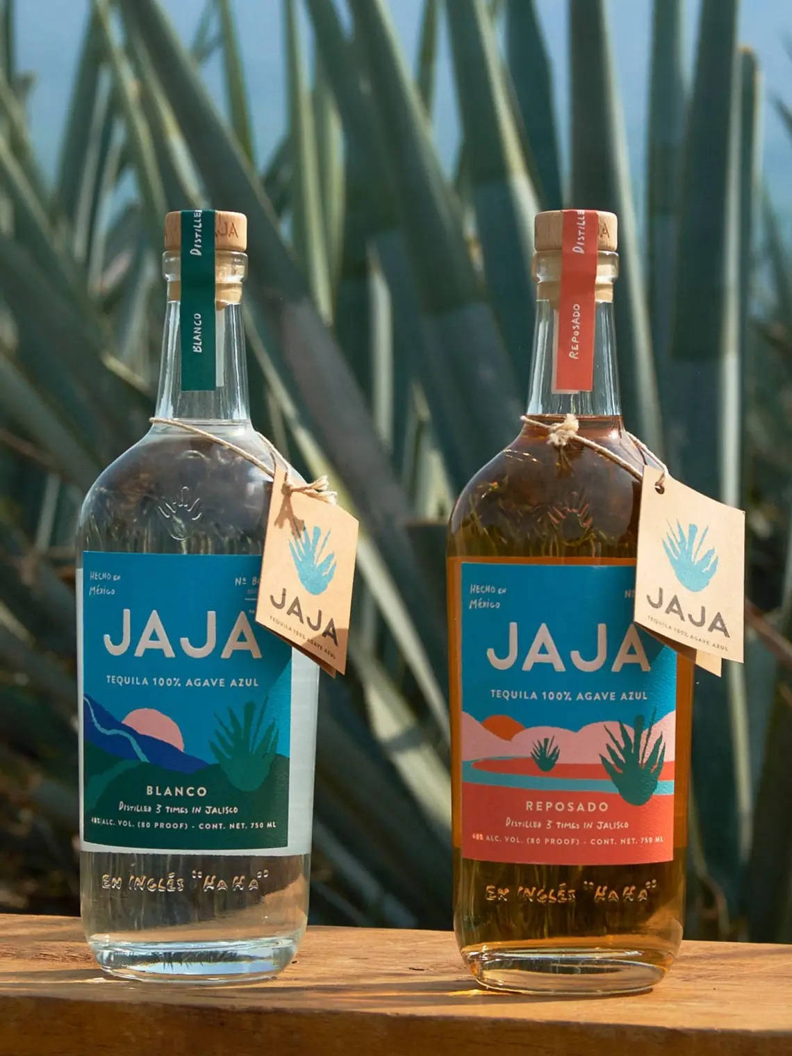 兩瓶Jaja龍舌蘭酒blanco和reposado放在木頭上，後面有龍舌蘭植物。