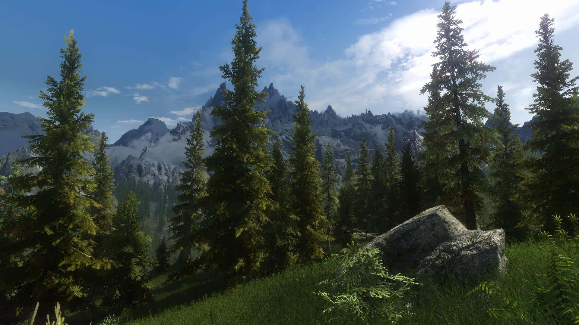 Skyrim Landscapes 桌布 壁紙 — 高聳的常綠樹環繞著陽光明媚的草地，通往白雪覆蓋的山峰，天空湛藍，雲朵點綴。