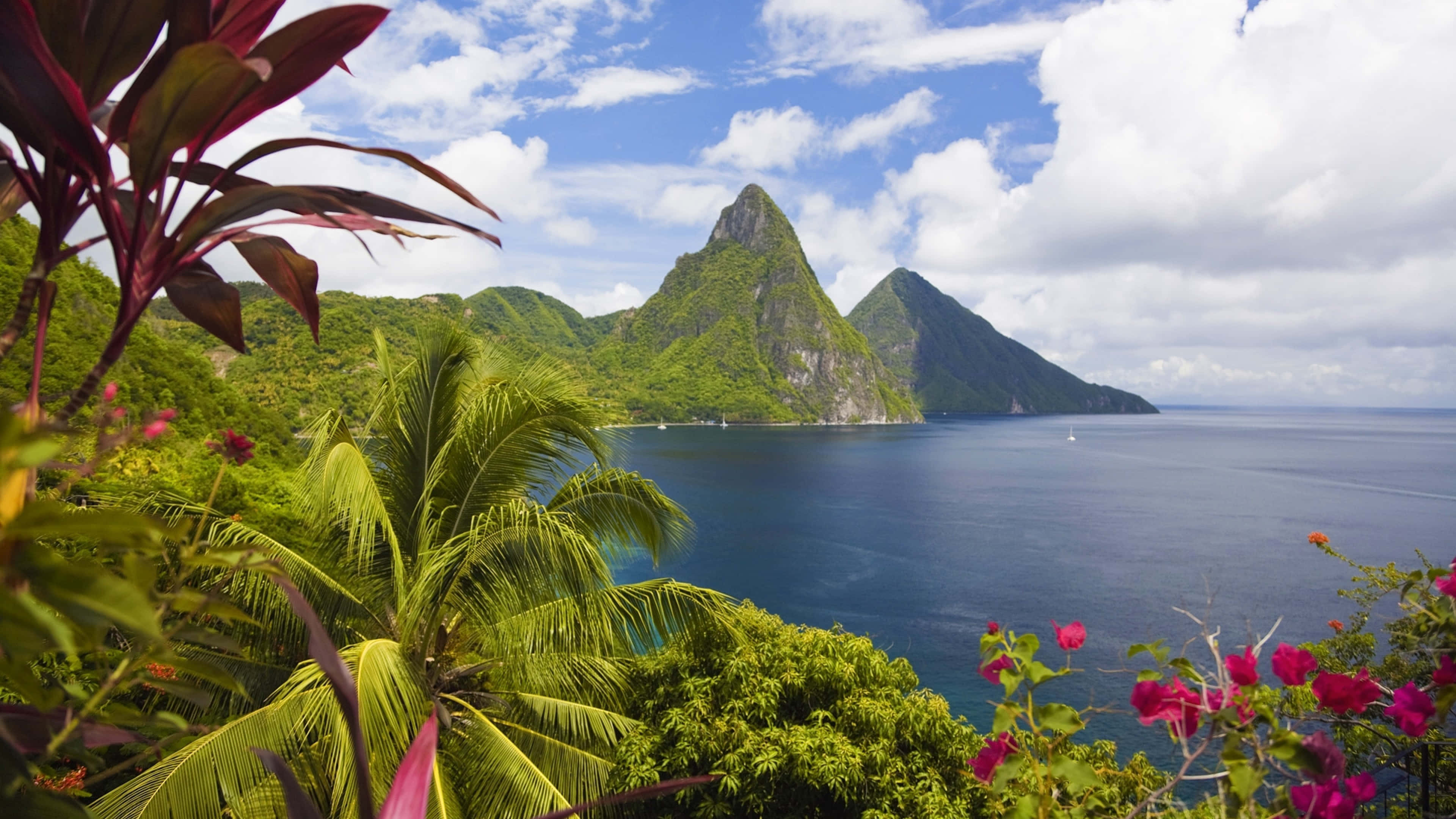 Caribbean 桌布 壁紙 — 高聳的綠色山脈從碧綠的海水中升起，周圍環繞著熱帶植物和粉紅色花朵，上方是明亮的藍天。