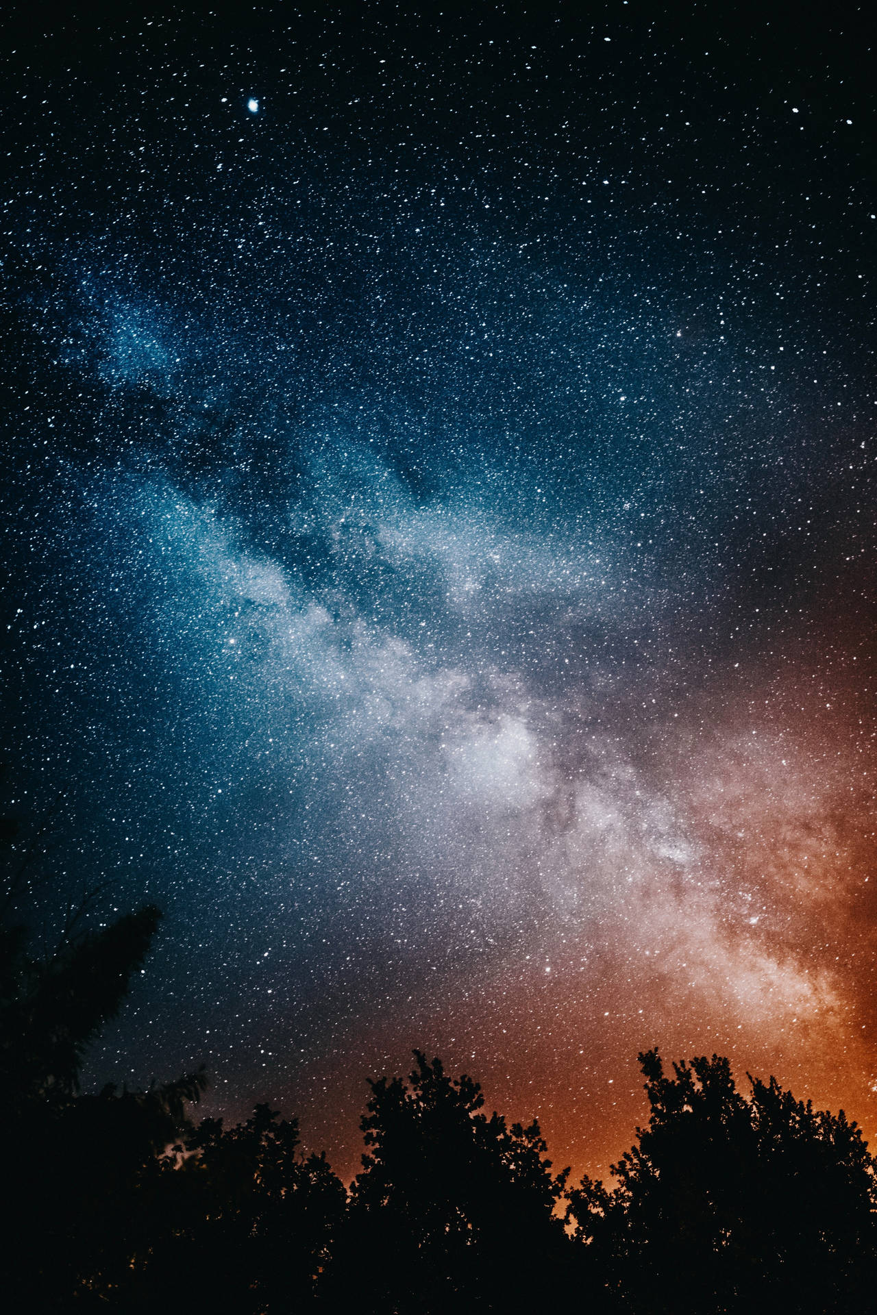 銀河系在繁星夜空下，在樹木剪影上方閃耀