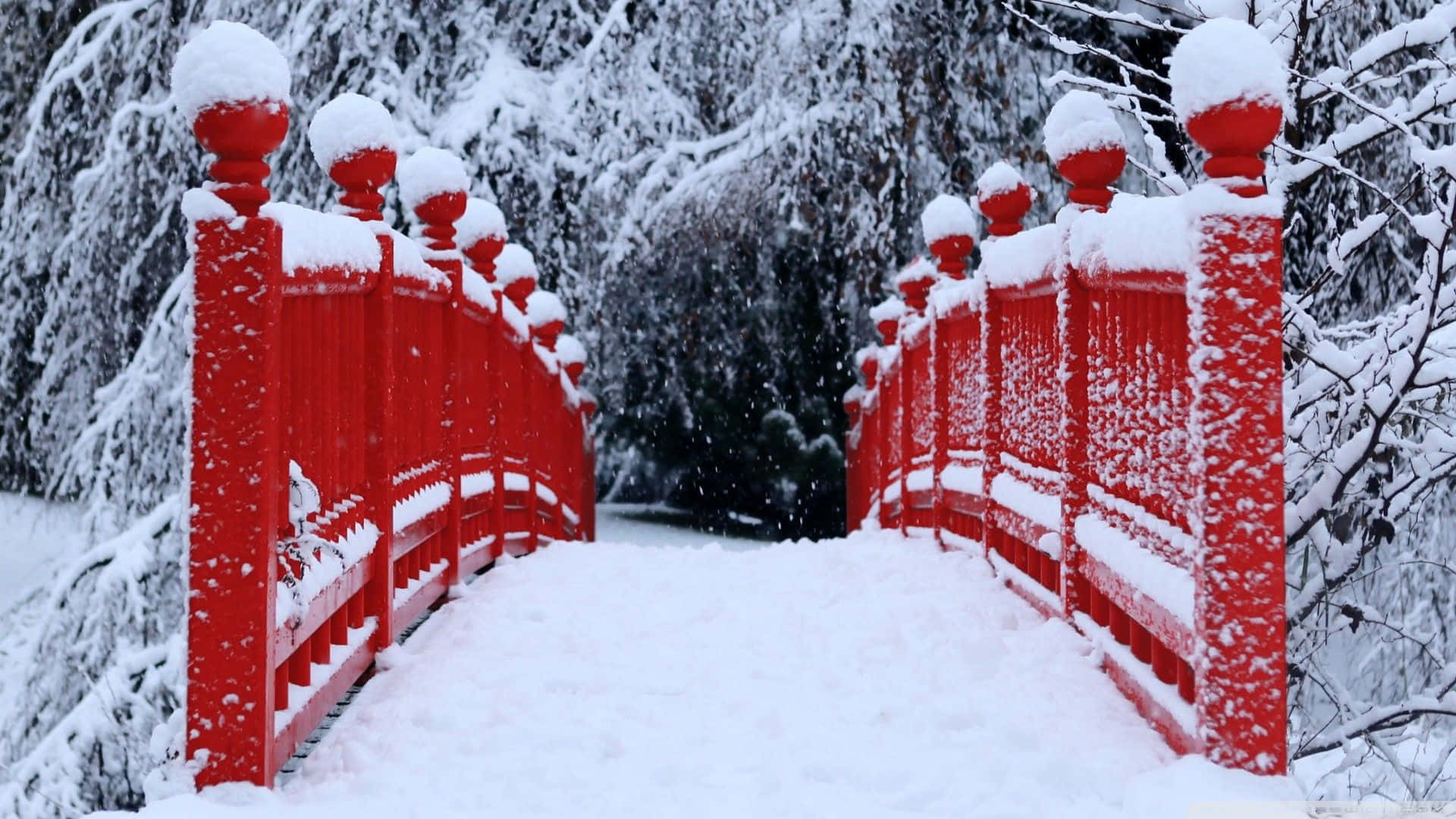 冬季森林中一座被雪覆蓋的紅色木橋。
