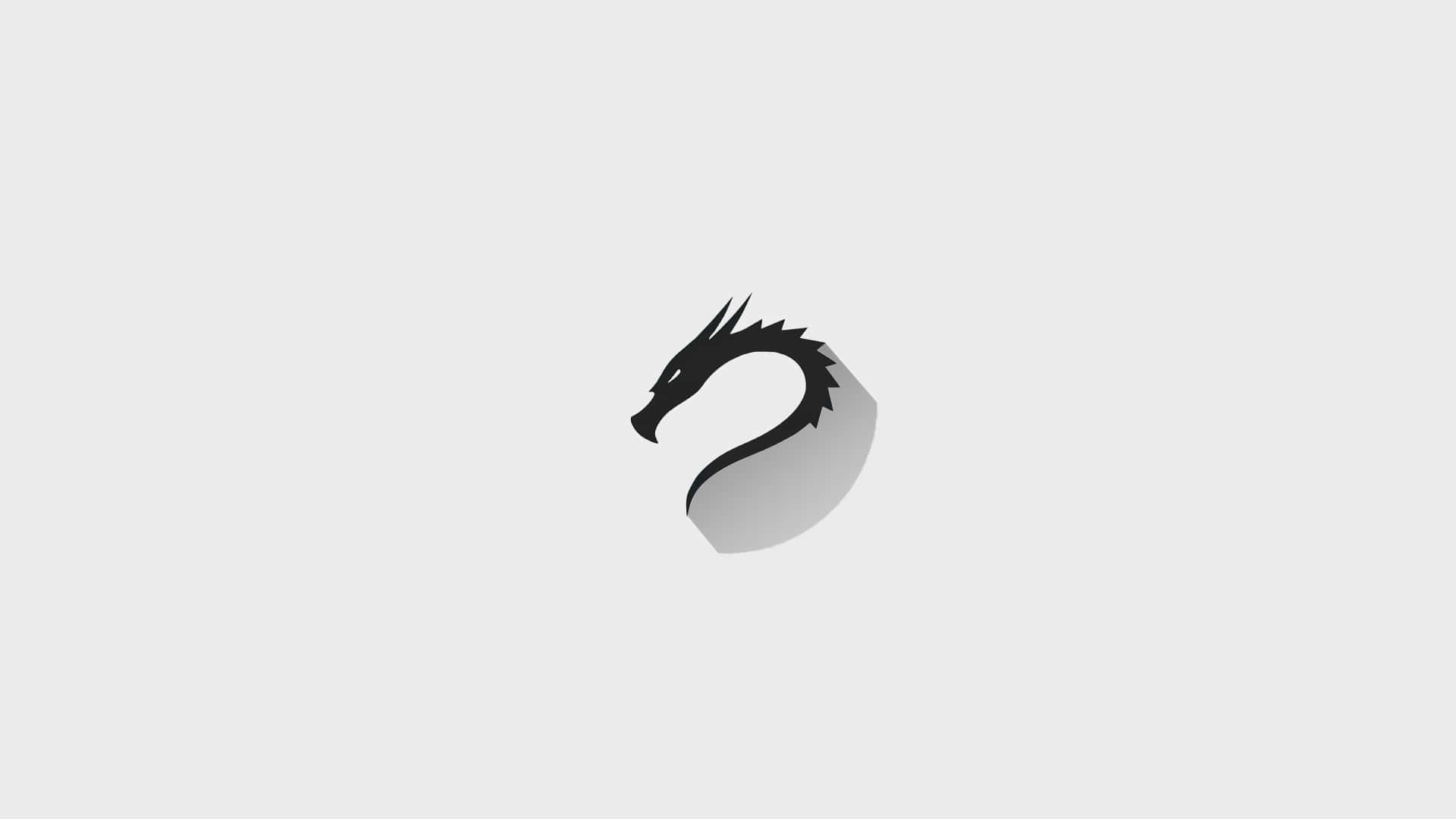 高解析度雙開機 Kali Linux 桌面 壁紙 — 一個極簡風格的黑色龍頭剪影在純淺灰色背景上投射出柔和陰影。