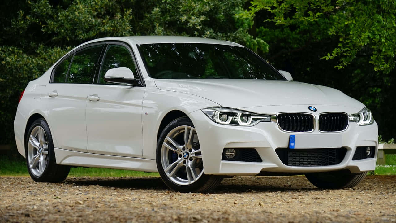高解析度黑 BMW 車款特寫 壁紙 — 一輛純白色的BMW轎車在日光下閃耀，停在碎石上，茂密的綠樹形成自然背景。