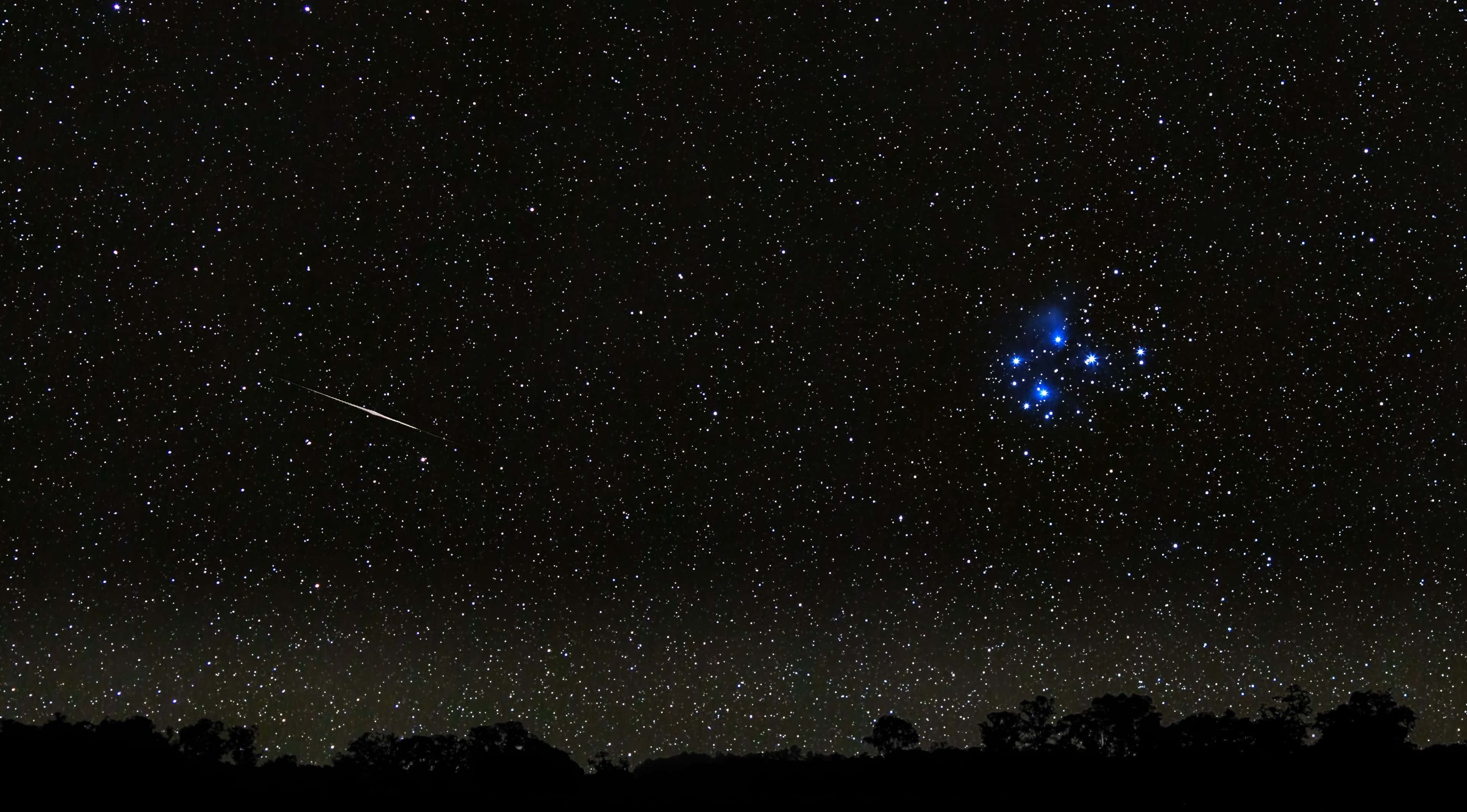高解析度黑夜天空 壁紙 — 一個繁星點點的夜空，一顆流星劃過明亮的藍色星團，在黑暗的樹線上方。