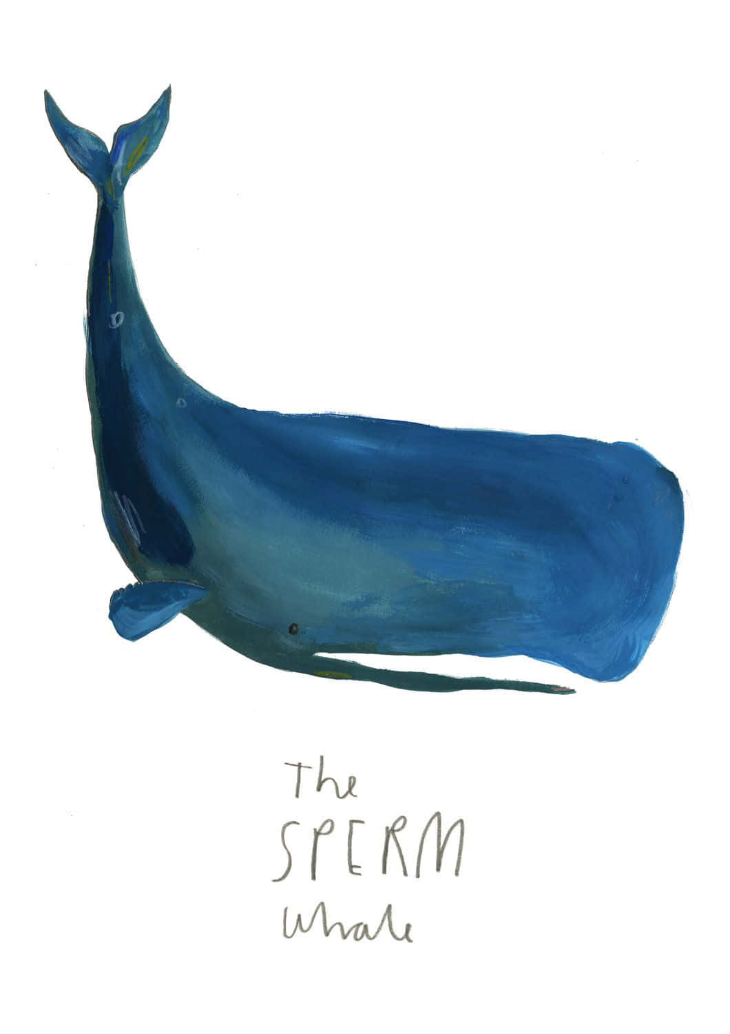 鬚鯨在海中悠然滑行 壁紙 — 以柔和筆觸和手寫文字標示為「The Sperm Whale」的風格化藍鯨插圖。