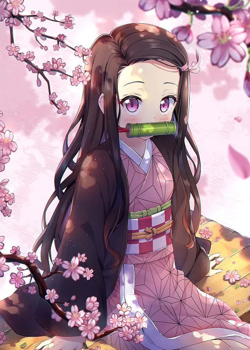 櫻花下穿著粉紅色和服、嘴裡塞著竹製口塞的動漫女孩。 — 鬼滅之刃 火鬼 壁紙