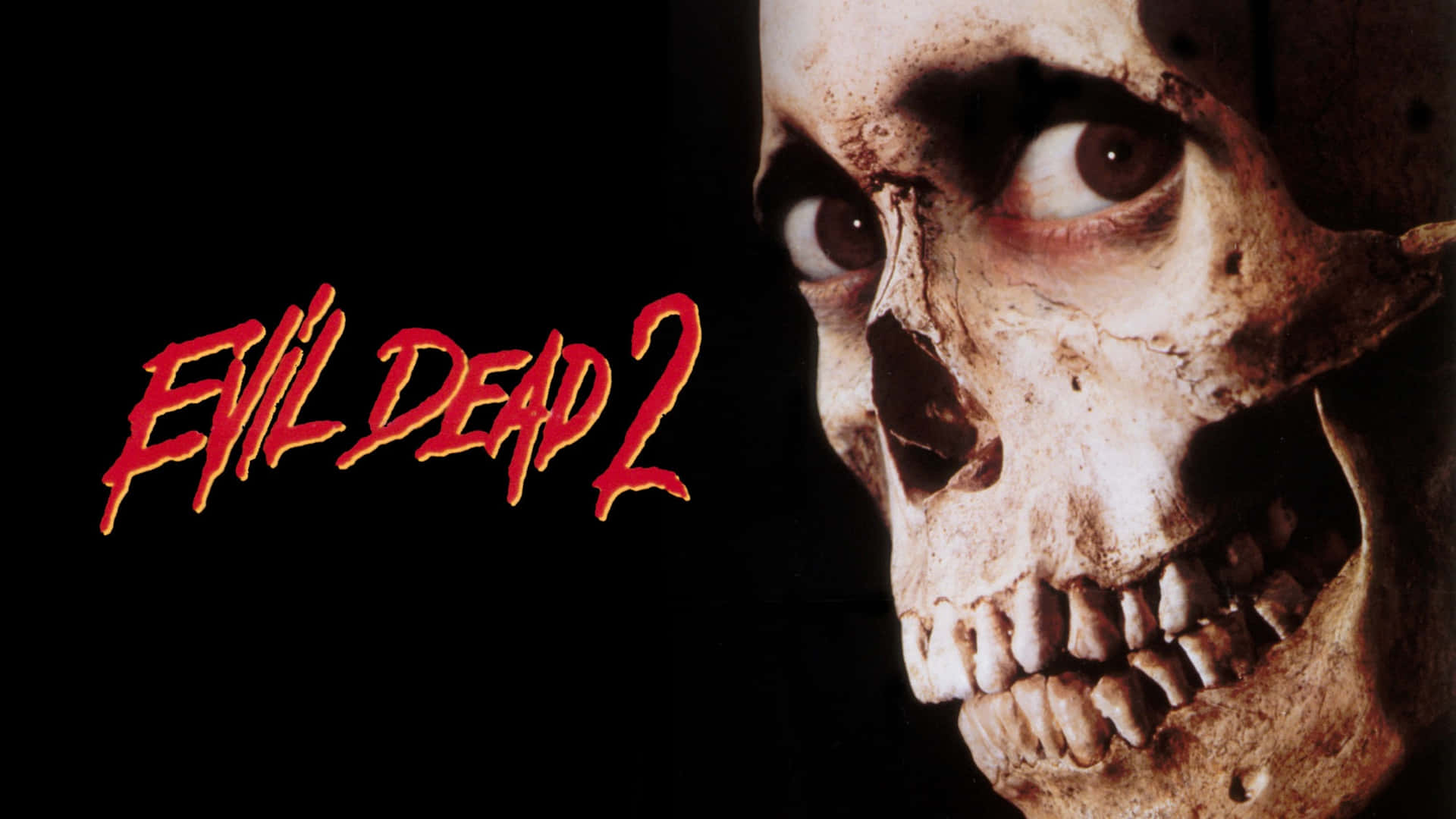 骷髏頭上有發光的眼睛，黑色背景上有紅色的Evil Dead 2文字。