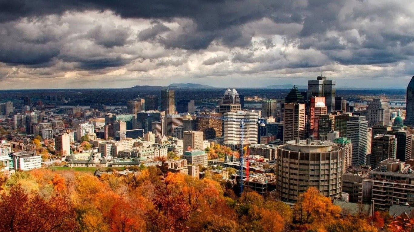 魁北克城秋日林景 壁紙 — 一幅戲劇性的秋日城市景觀，前景是火紅的橙色樹木，高聳的摩天大樓在陰沉的暴風雲下。