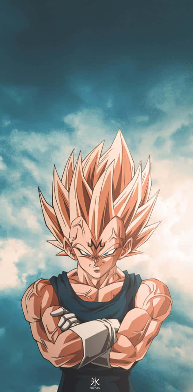 魔人布歐髮際線 壁紙 — 一個強大的超級撒亞人神比達交叉雙臂，站在戲劇性的多雲天空前。
