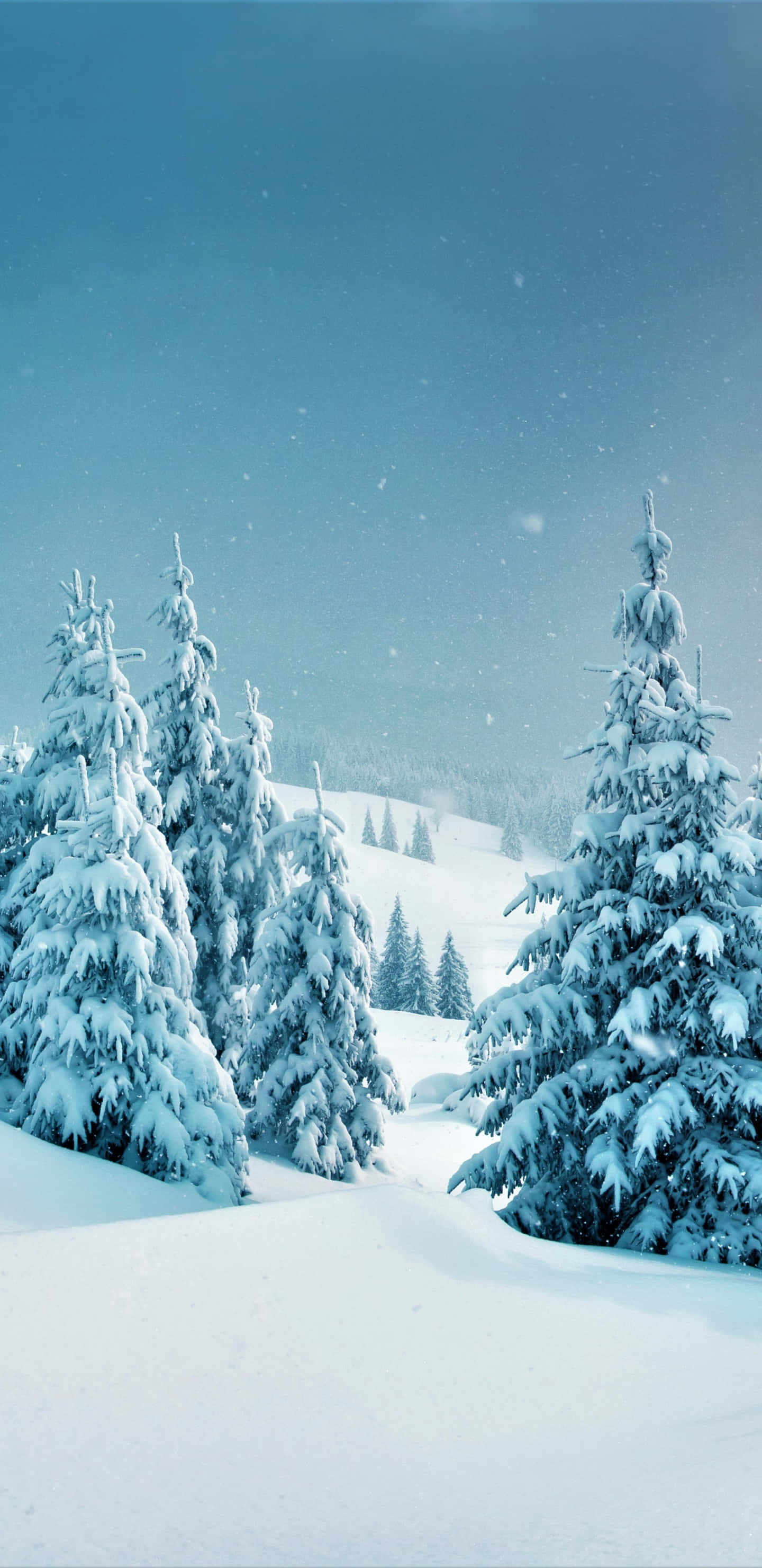 魔法冬日寧靜 - 雪林景觀 壁紙 — 白雪覆蓋著常綠樹，在淡藍色天空下，寧靜的冬季森林中飄落著雪花。