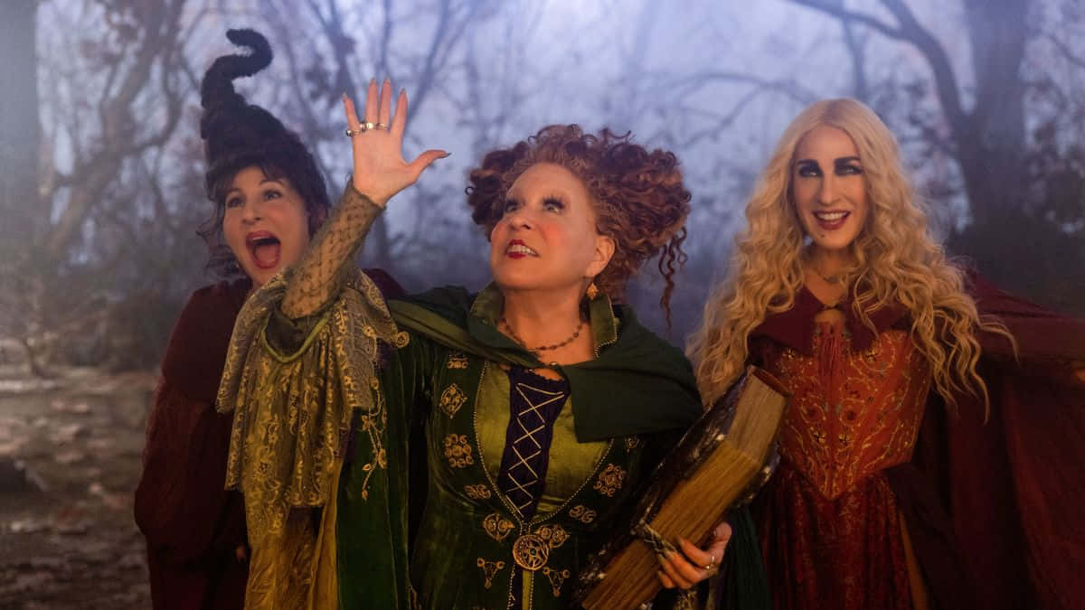 《魔法奇緣》中的女巫們施放魔法！ 壁紙 — 三位身穿華麗服裝的女巫在霧氣瀰漫、樹木光禿的森林中愉快地做手勢。