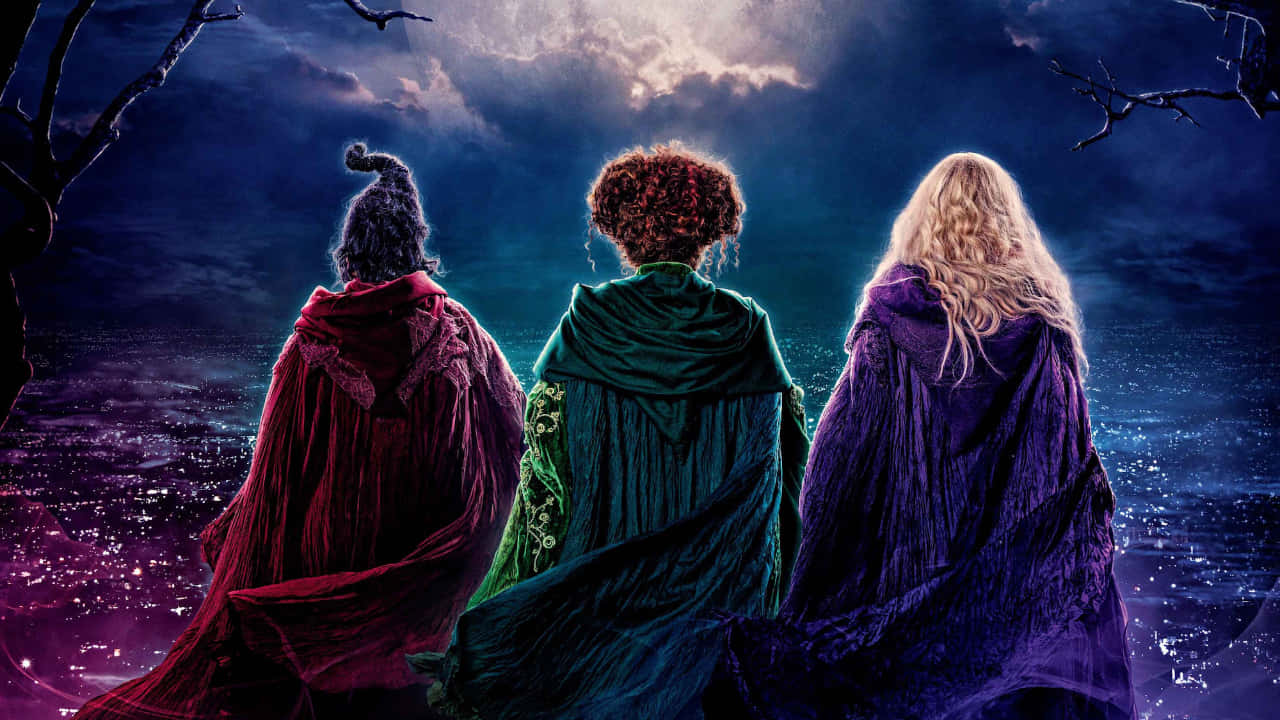 《魔法奇緣》的魔幻娛樂世界 壁紙 — 三位身穿飄逸斗篷的女巫在暴風雨的夜空下背靠背站立，俯瞰著發光的城市景觀。