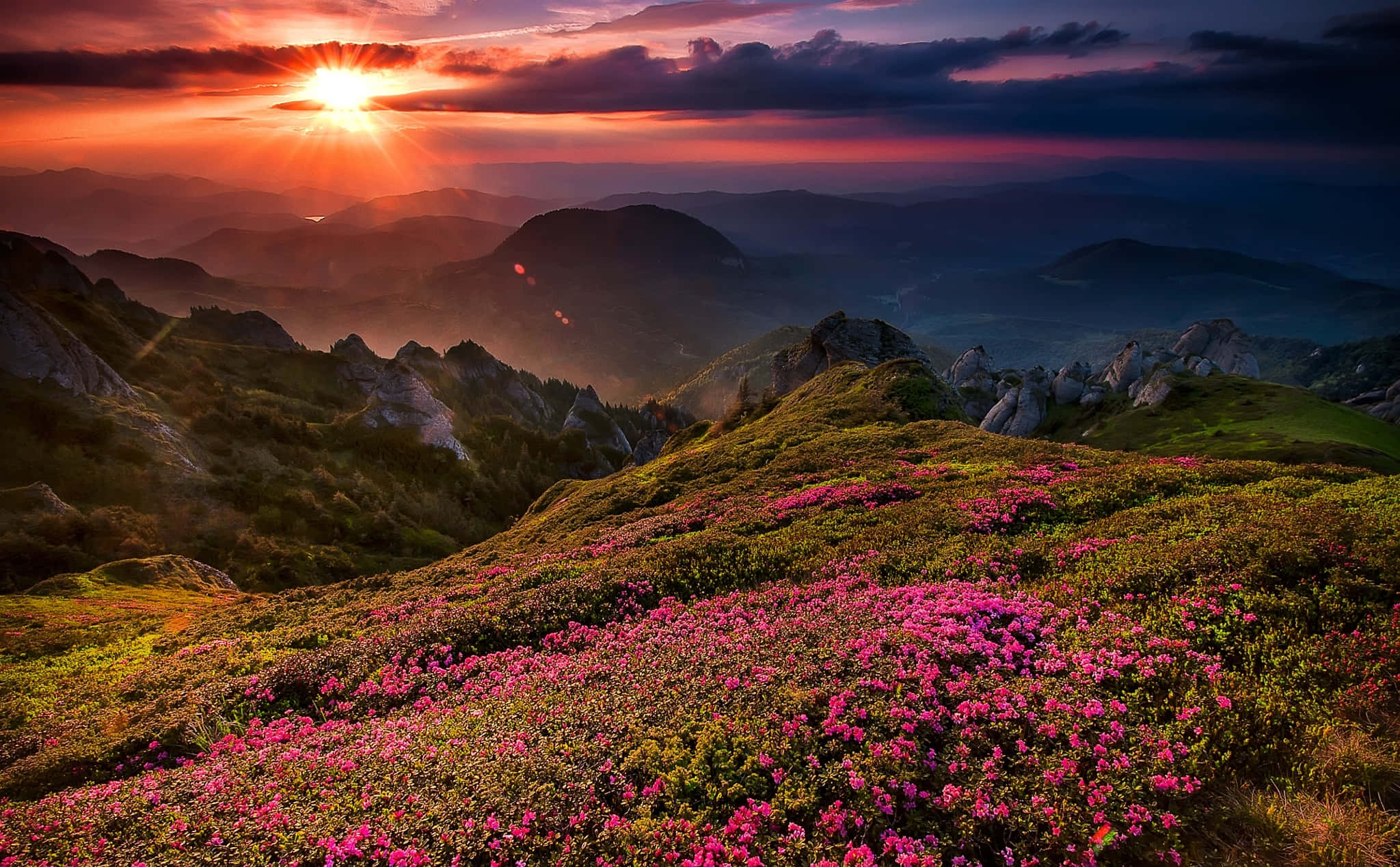 魔法日落山景圖片 壁紙 — 夕陽將山脊染成火熱的橙色，前景中粉紅色的野花盛開。
