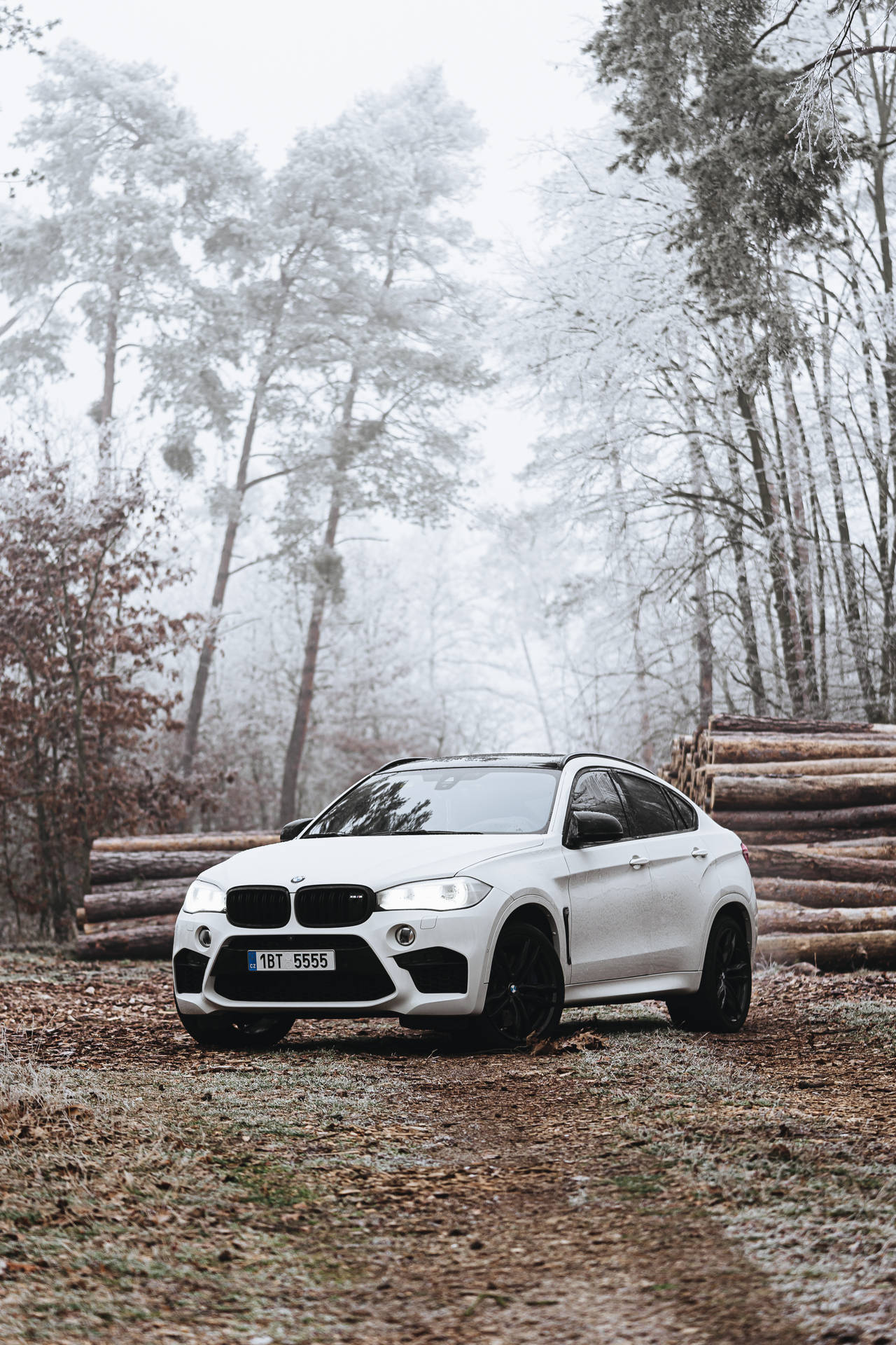 白色BMW X6 SUV停泊在雪地森林中，附近有原木。