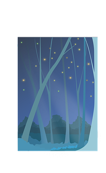 魔法森林夜景