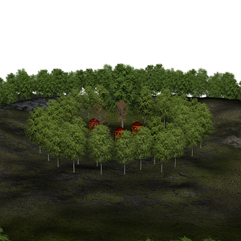 魔法森林小屋夜景