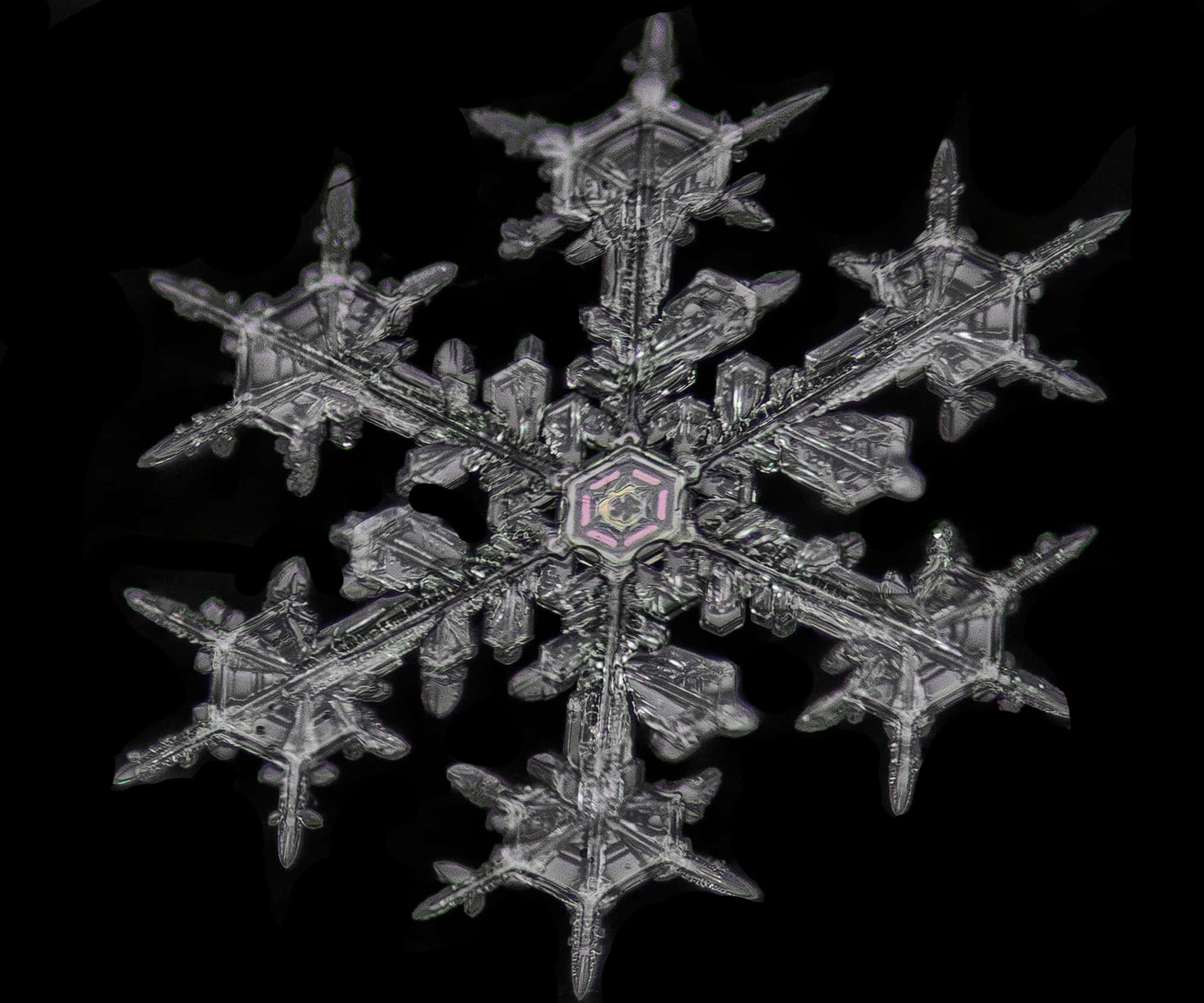 魔法般的雪花 壁紙 — 一片精緻的雪花，擁有六個對稱的臂和一個發光的粉紅色中心，在純黑色背景上脫穎而出。