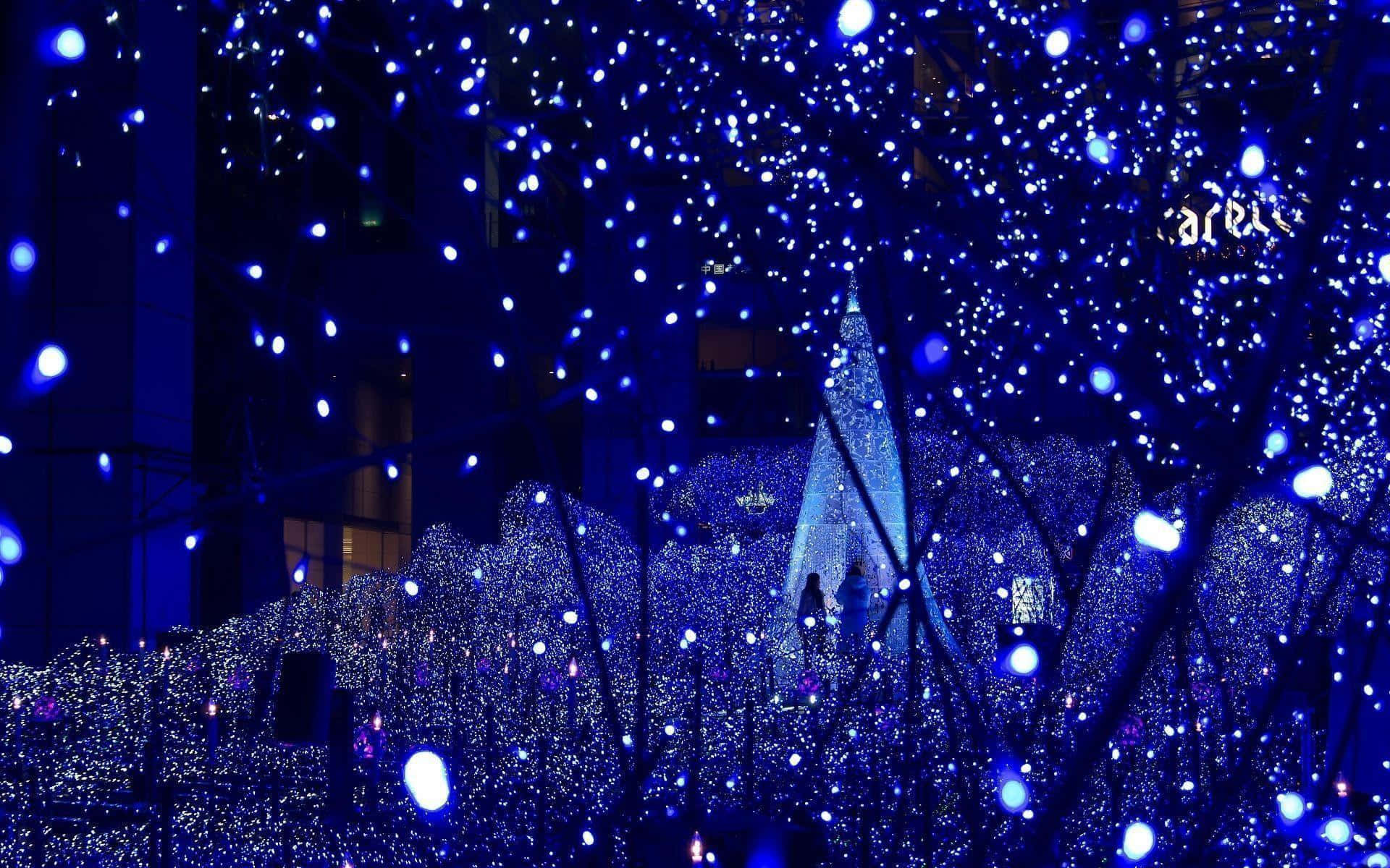 藍色燈光裝飾樹木和建築物，營造節日城市夜景。