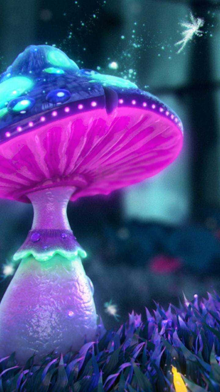 在黑暗魔法森林中發光的紫色蘑菇，帶有閃爍效果。