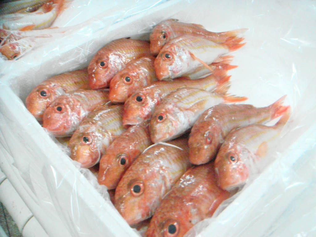 市場攤位上白色塑膠容器中展示的新鮮粉紅色魚。