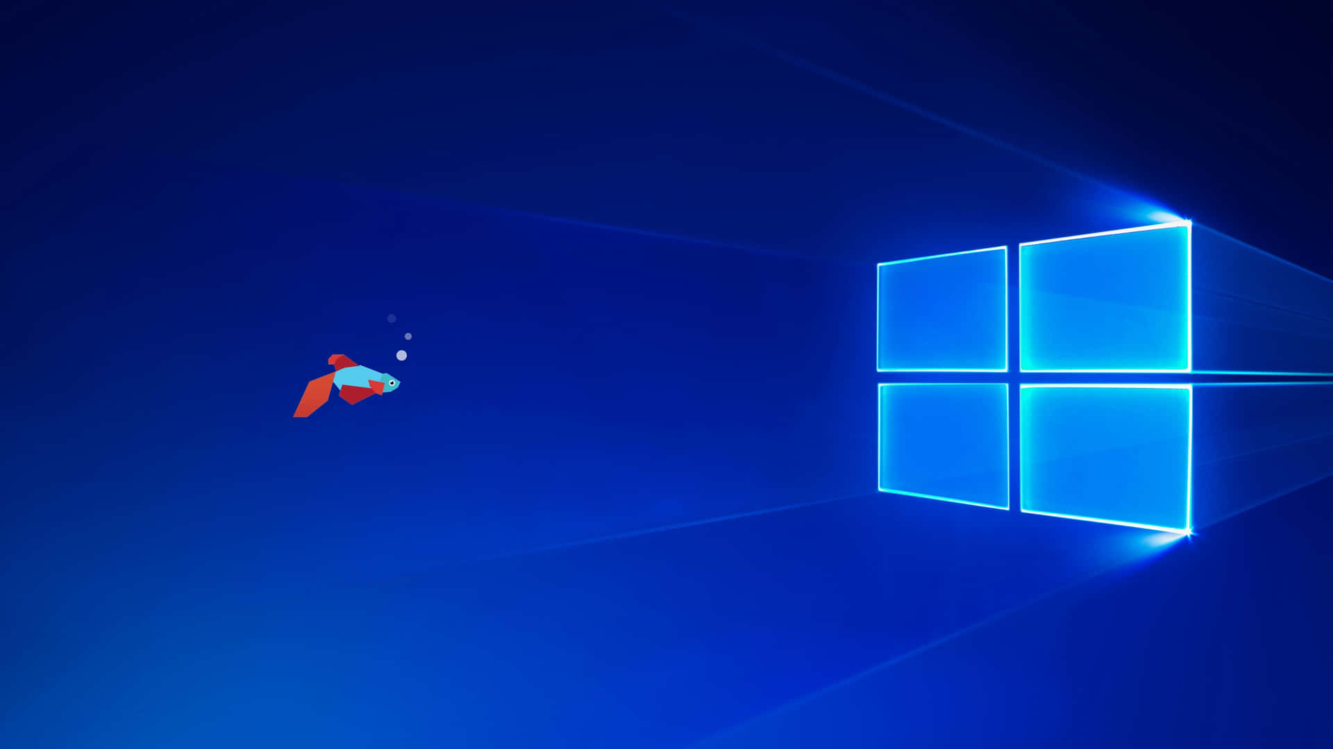 發光的Windows標誌，一條鬥魚在深藍色數位空間中游動。