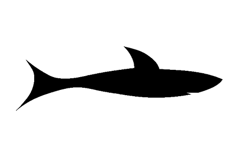 魚影剪影