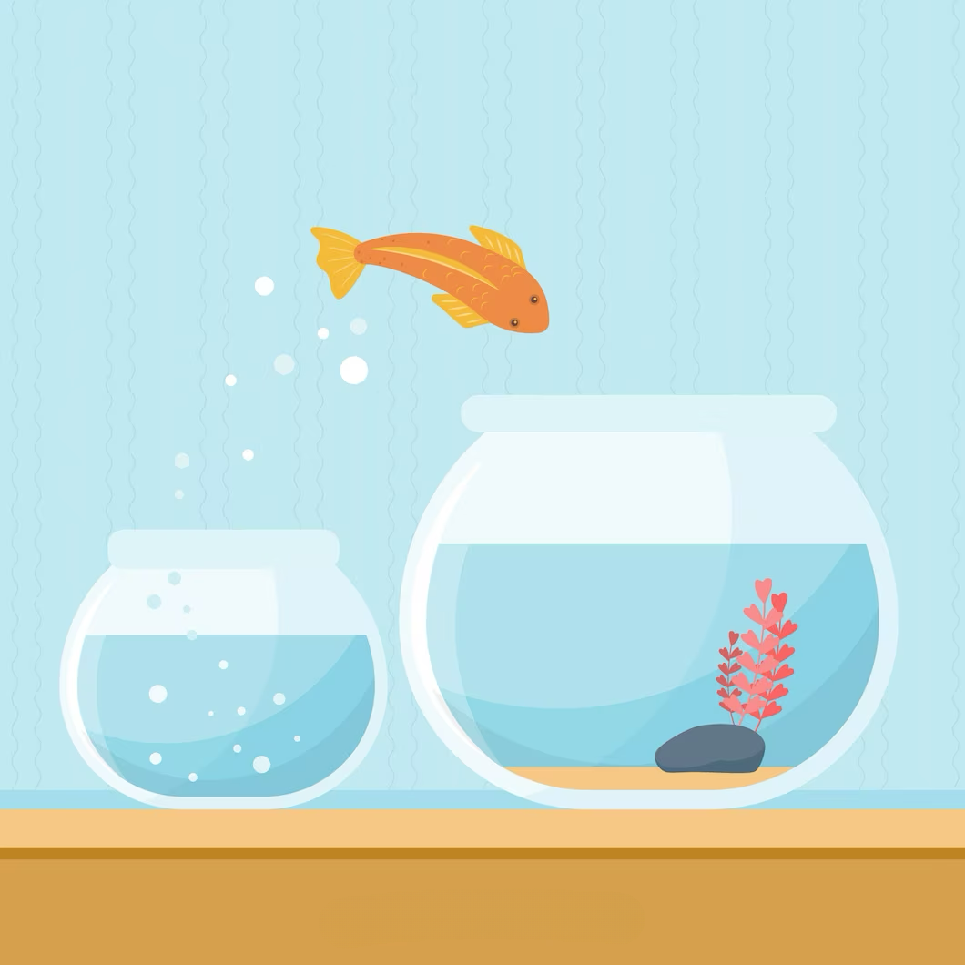 魚缸背景 壁紙