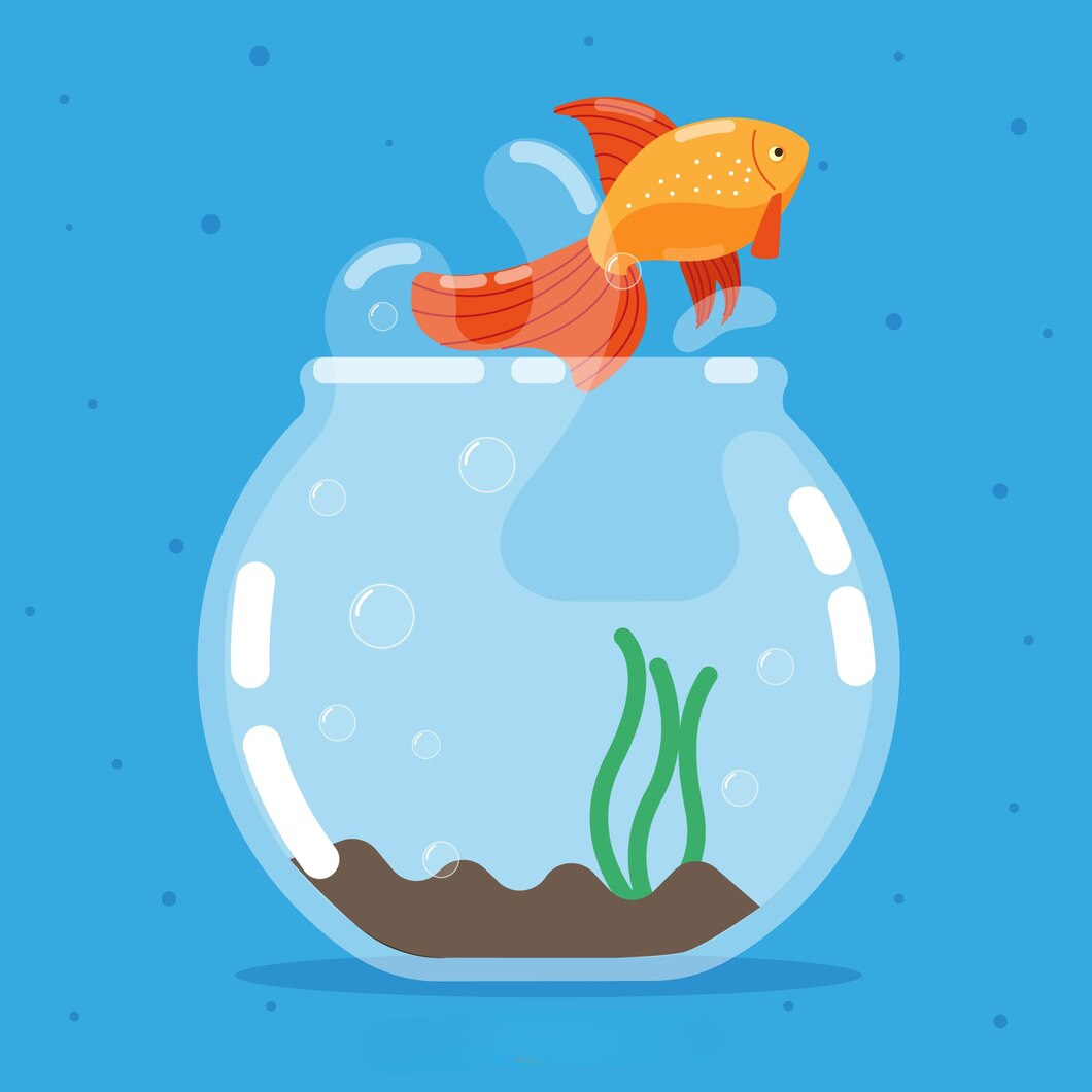 魚缸背景 壁紙