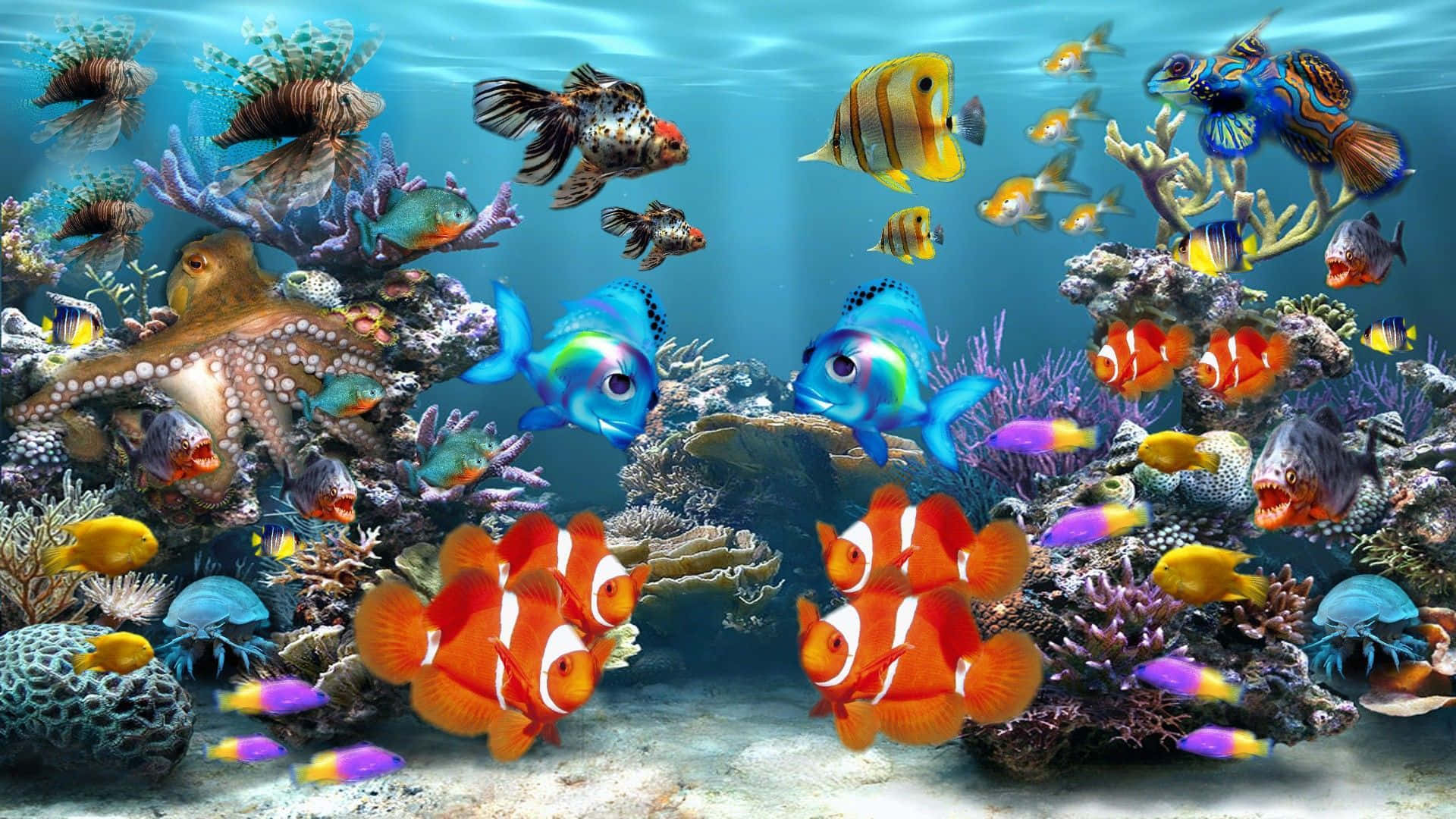 魚類拼貼魚缸背景 壁紙 — 充滿活力的珊瑚礁，色彩繽紛的熱帶魚和章魚在清澈的藍色海水下。